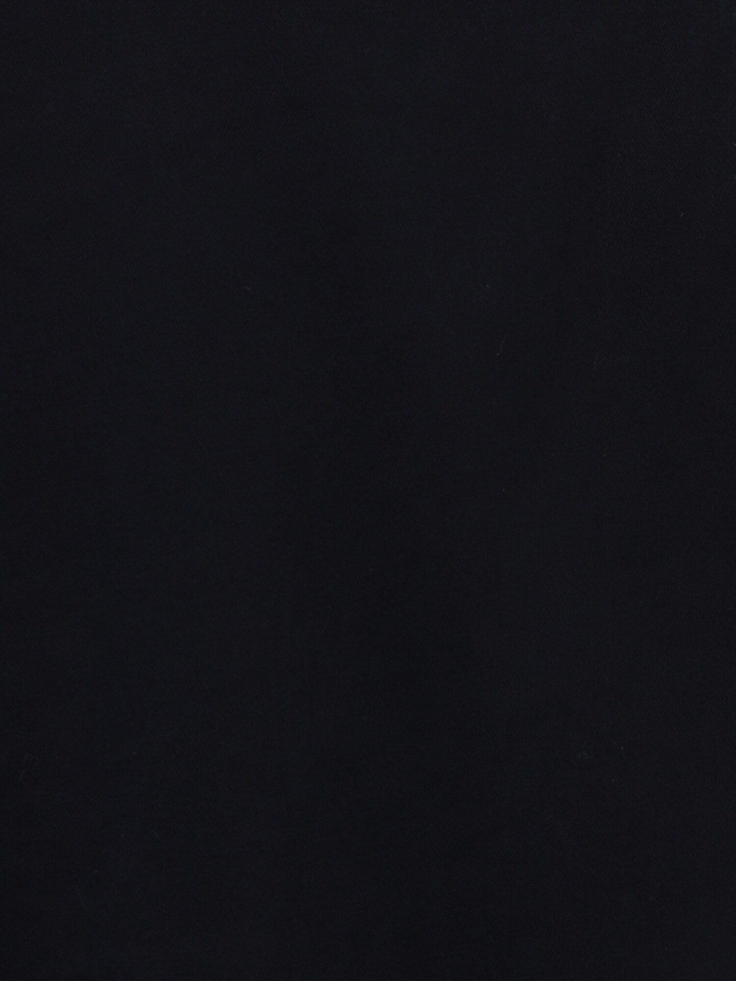 Tommy Hilfiger Big & Tall Chino nohavice 'DENTON' námornícka modrá (obrázok 3)