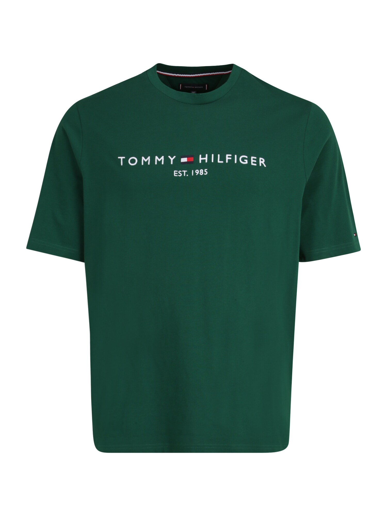 Tommy Hilfiger Big & Tall Marškinėliai tamsiai mėlyna / tamsiai žalia / raudona / balta