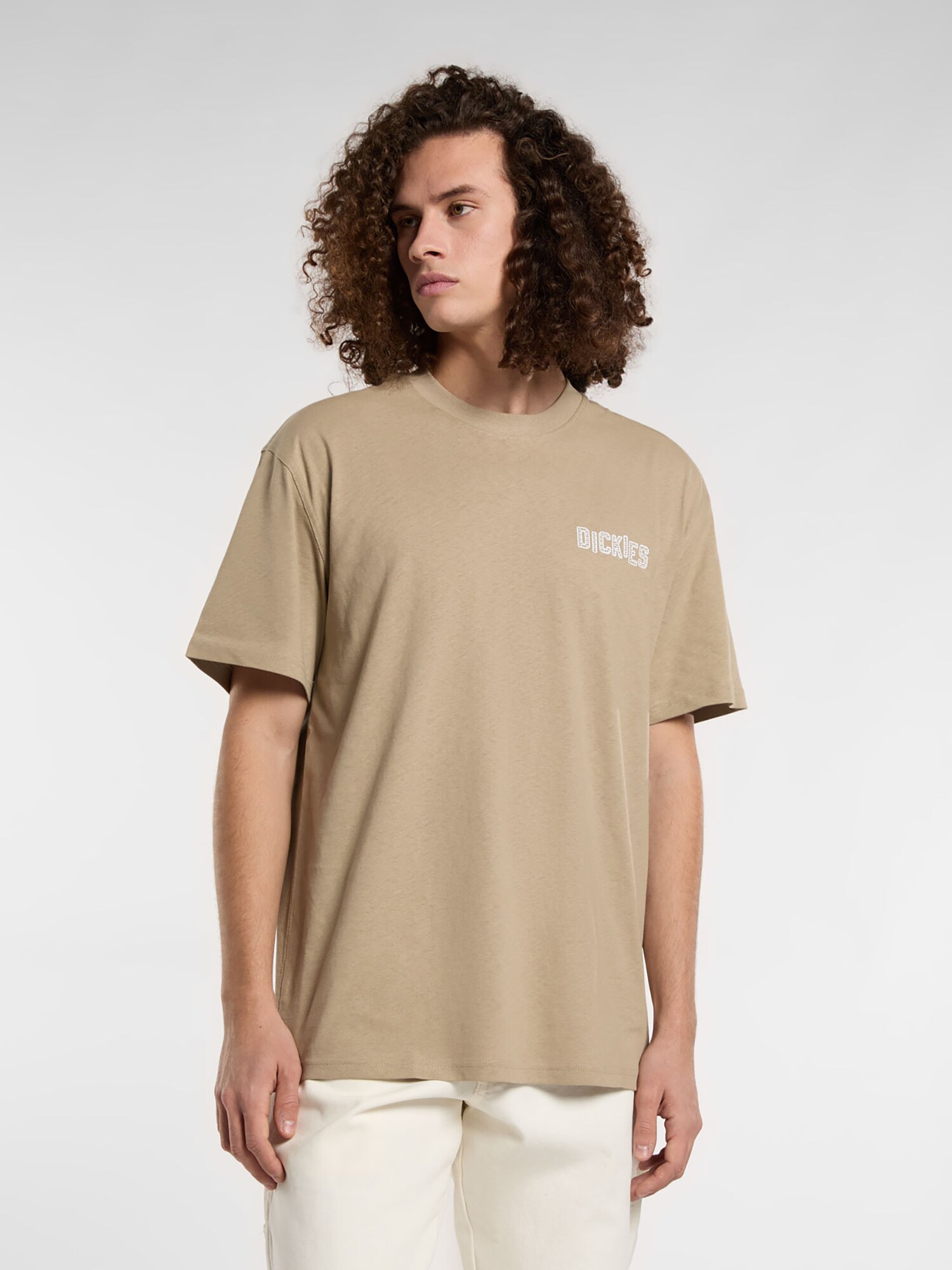 DICKIES Tričko 'BRICKLANE' piesková (obrázok 4)