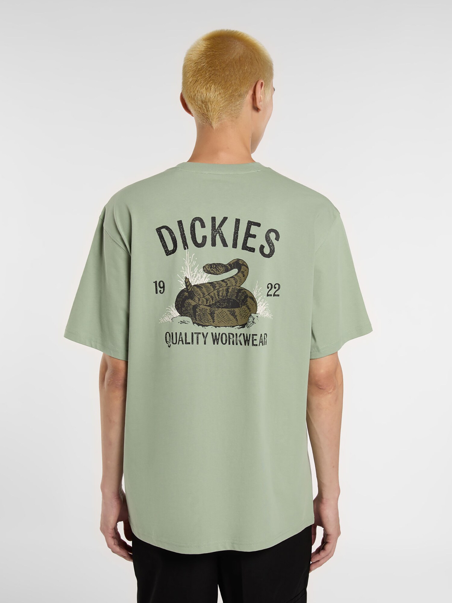 Thumbnail - DICKIES T-Shirt Snake