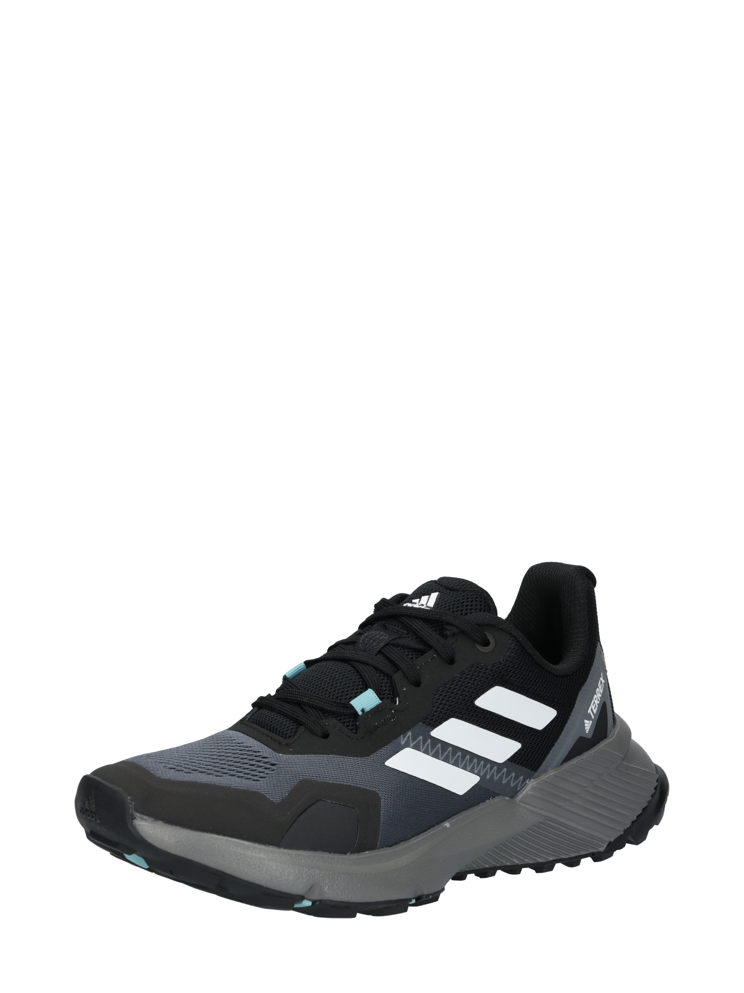 ADIDAS TERREX Bėgimo batai 'SOULSTRIDE' akmens / juoda / balta