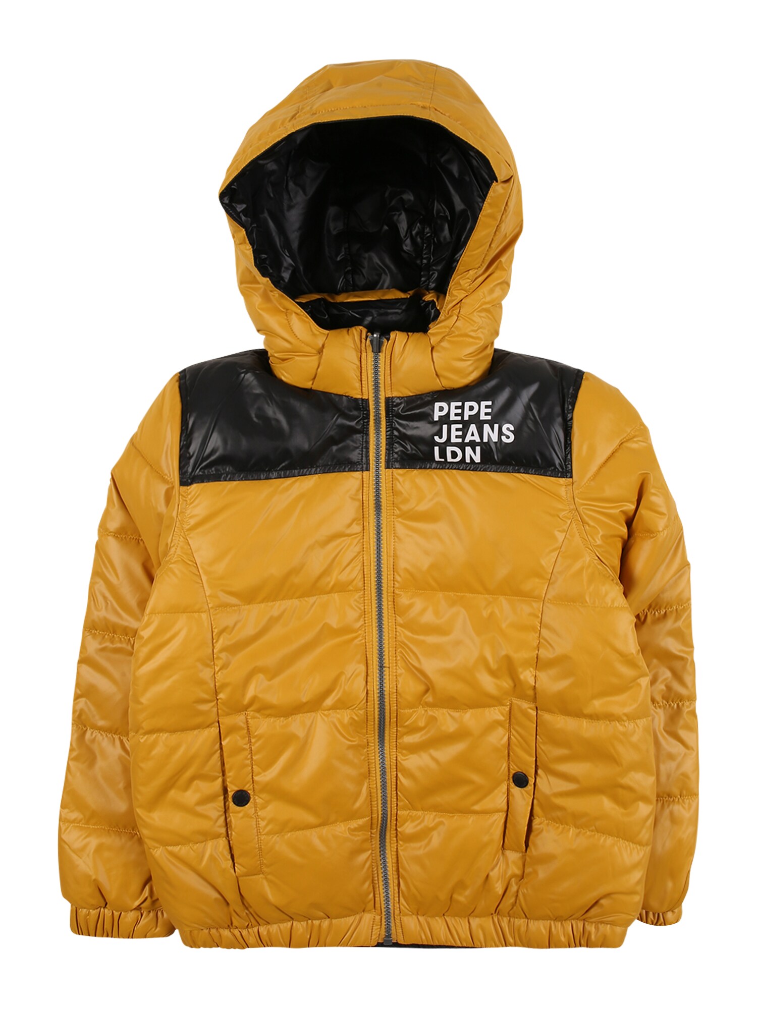 Pepe Jeans Žieminė striukė 'CAS'  geltona / juoda / balta