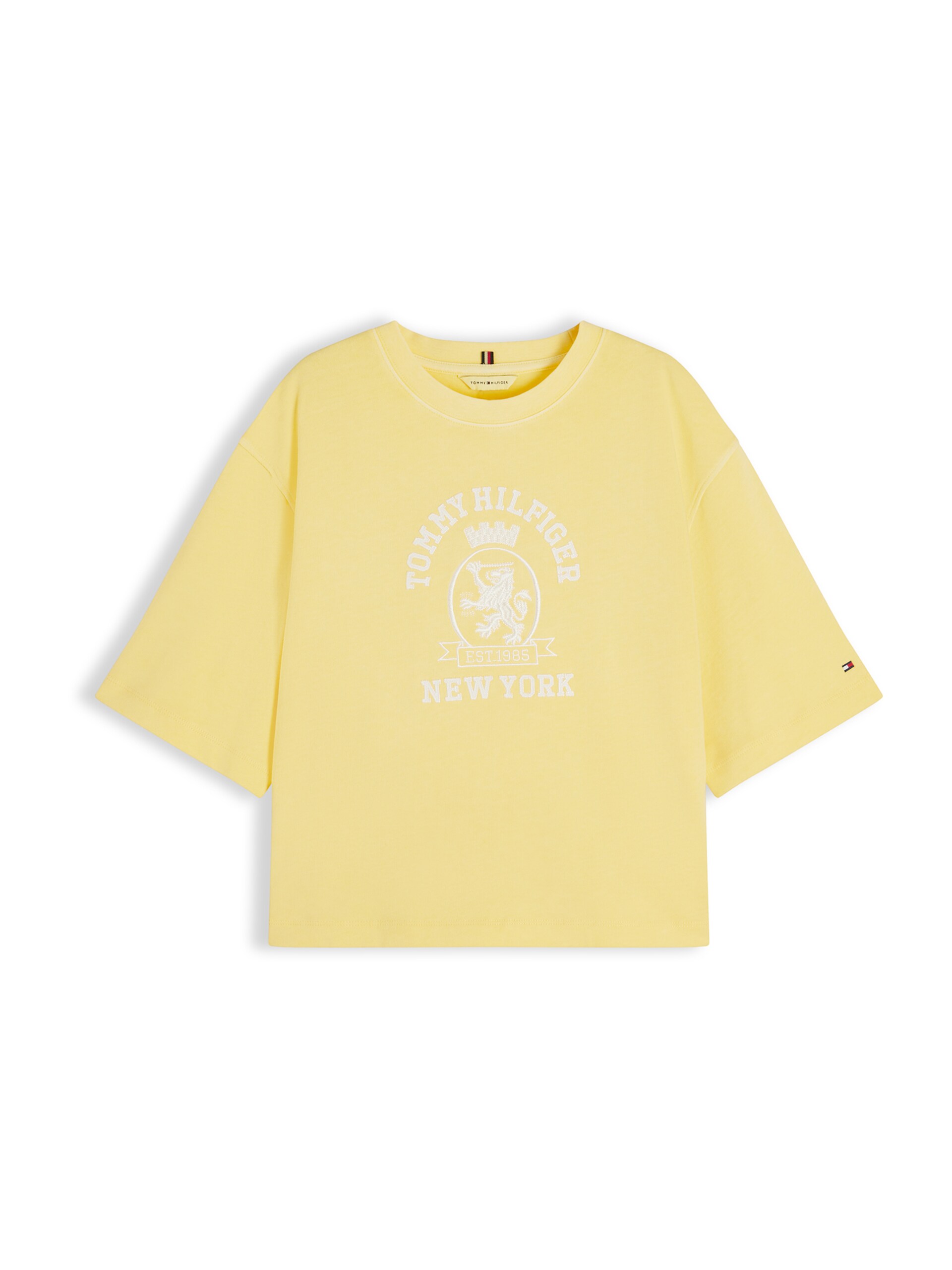 TOMMY HILFIGER T-shirt dam