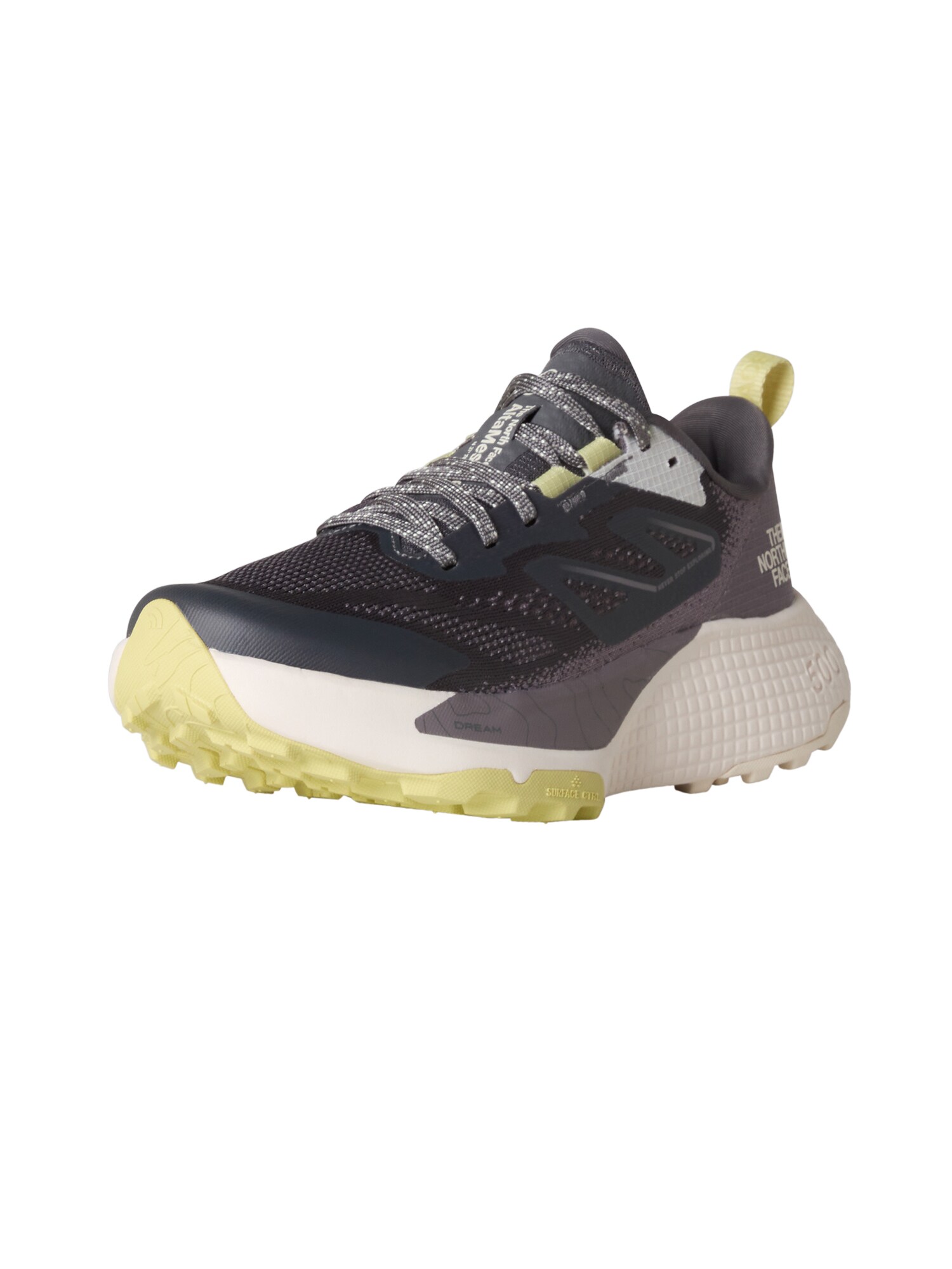 THE NORTH FACE Sneaker low 'Altamesa 500'  gri închis / negru