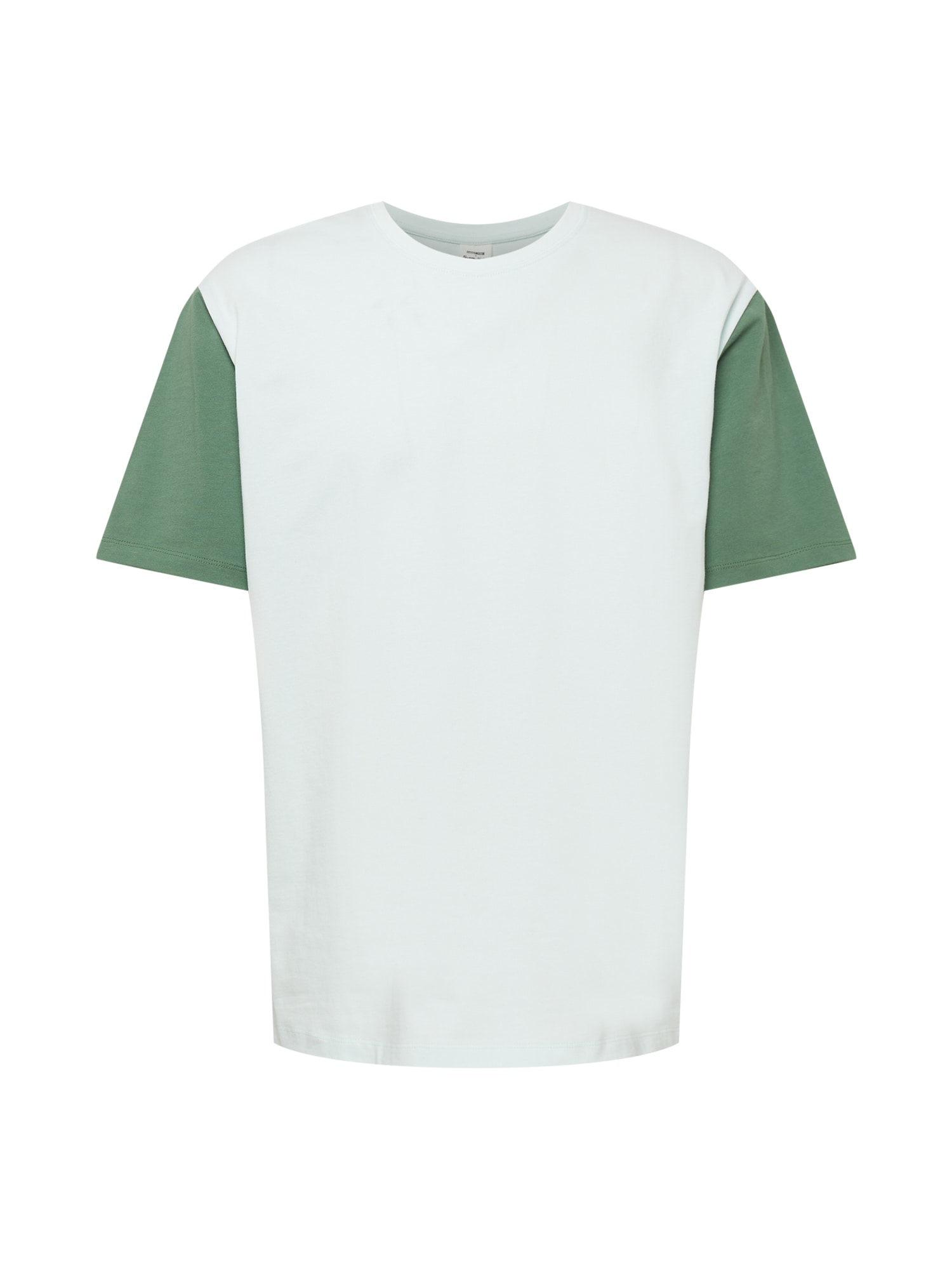 ABOUT YOU x Alvaro Soler Marškinėliai 'Ramon' žalia / šviesiai žalia / mišrios spalvos