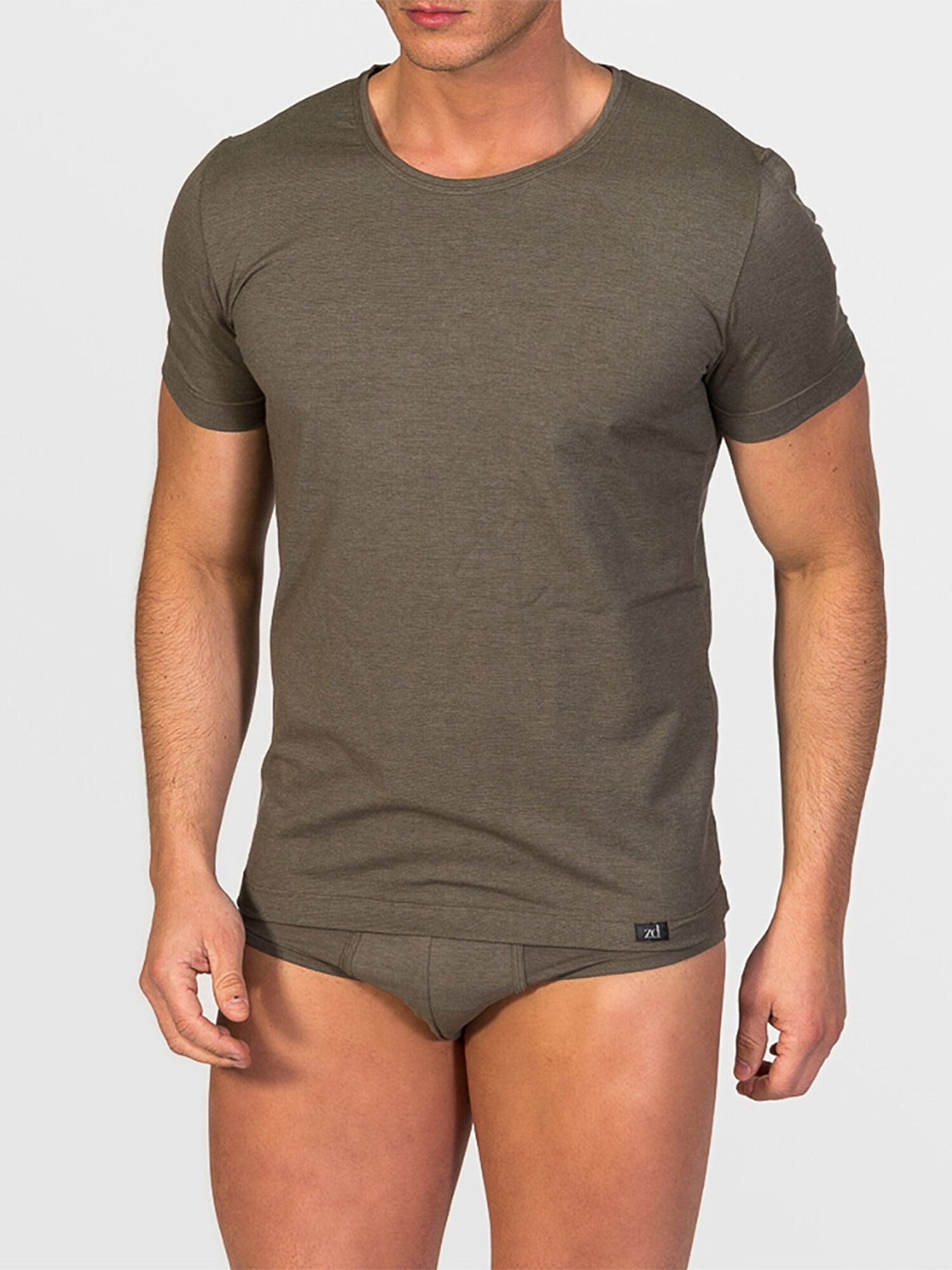 zd ZERO DEFECTS Maglietta intima 'Crew-Neck T-shirt Soya Yarn'  verde scuro