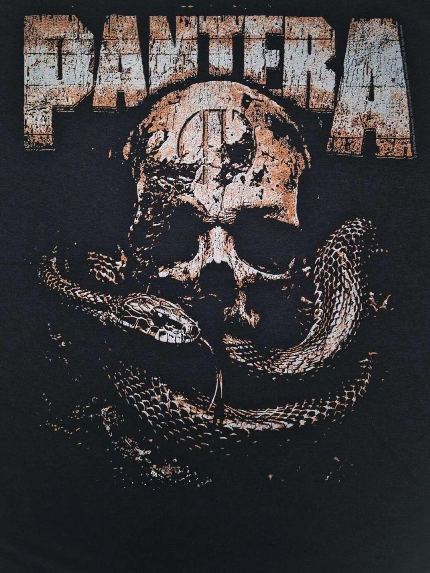 PANTERA Camiseta 'Pantera By Demon Be Driven T-Shirt'  negro – imagen 4