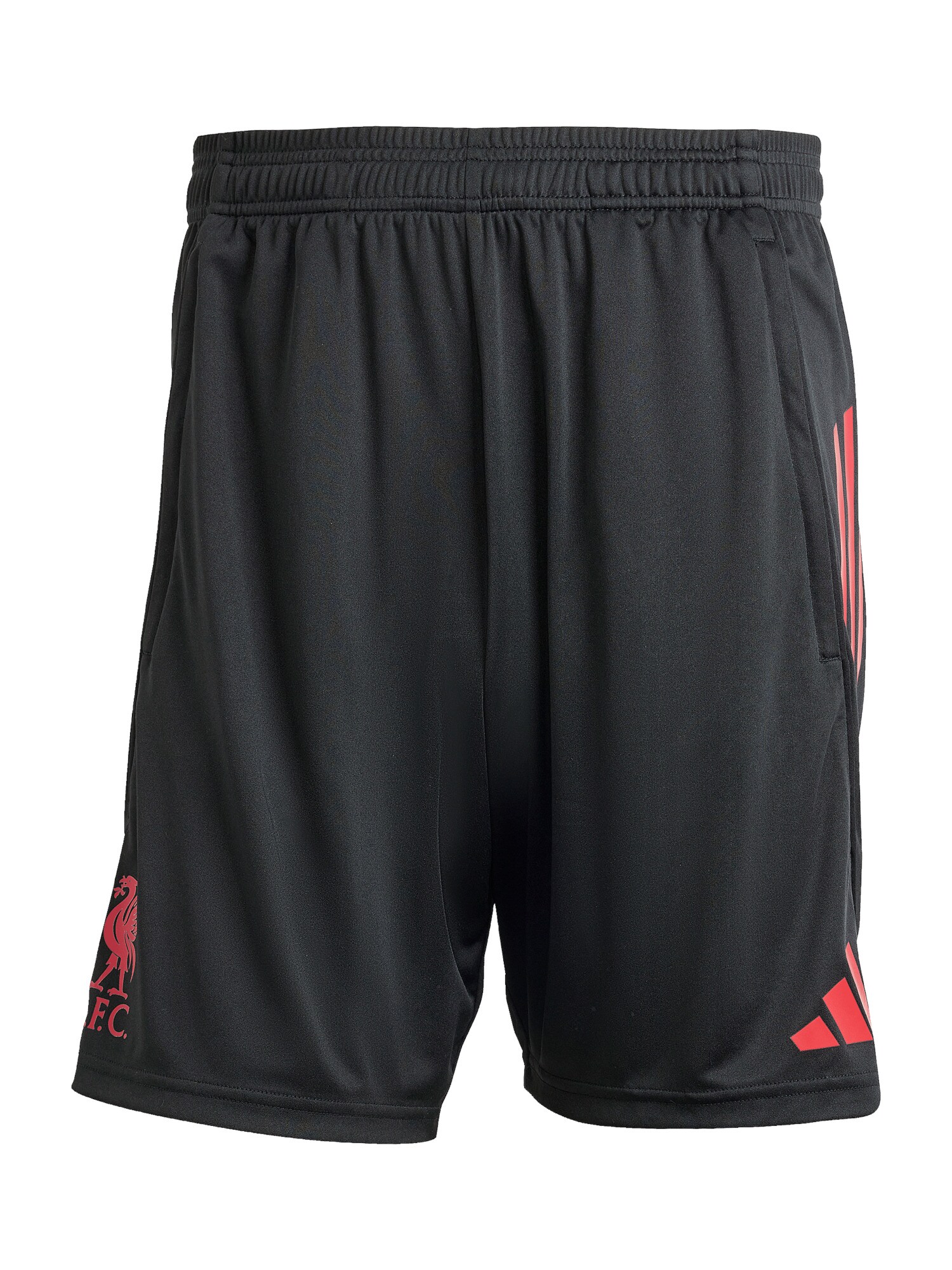 ADIDAS PERFORMANCE Pantaloni sport FC Liverpool Competition 2025/2026  grej / roșu / negru