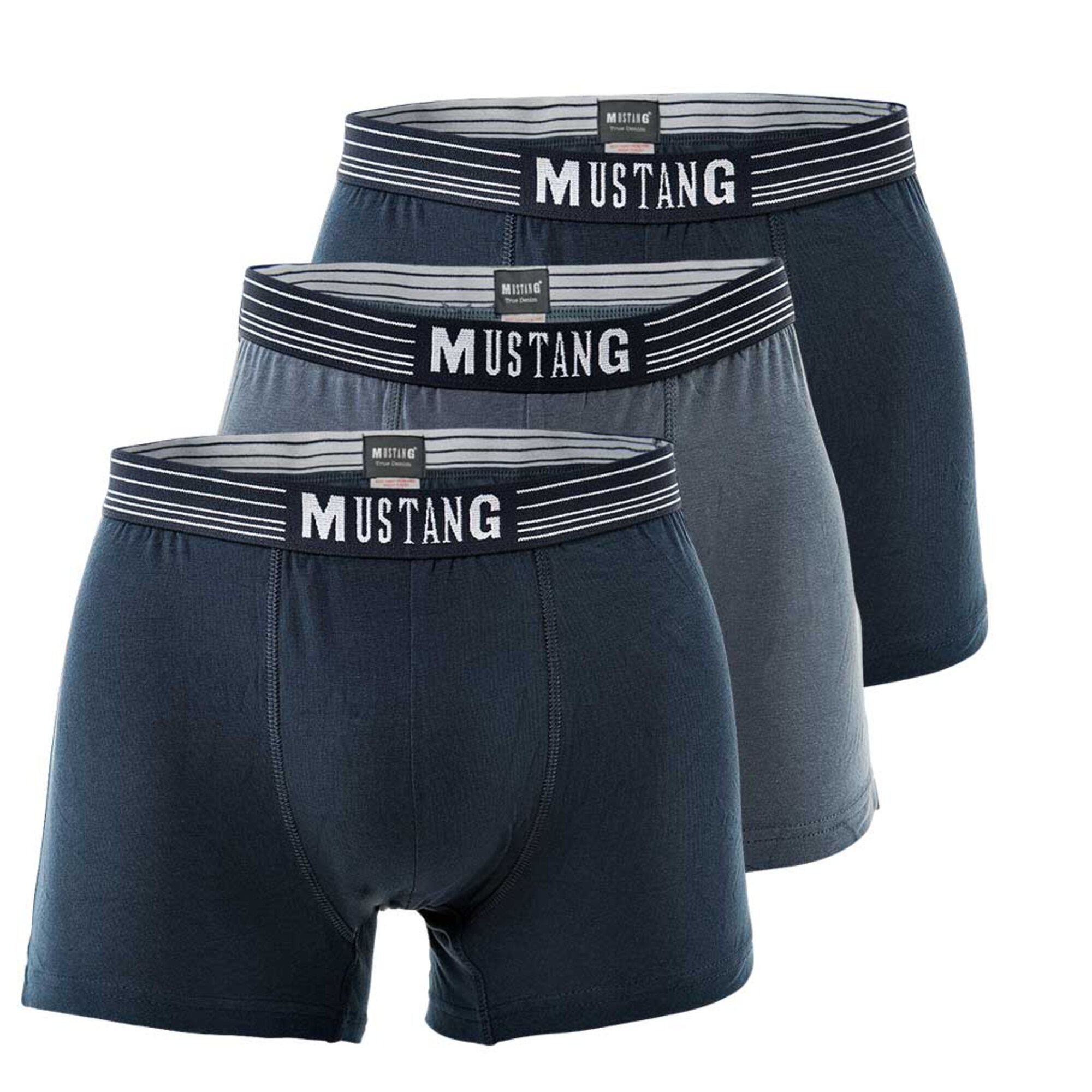 Thumbnail - MUSTANG Trunks