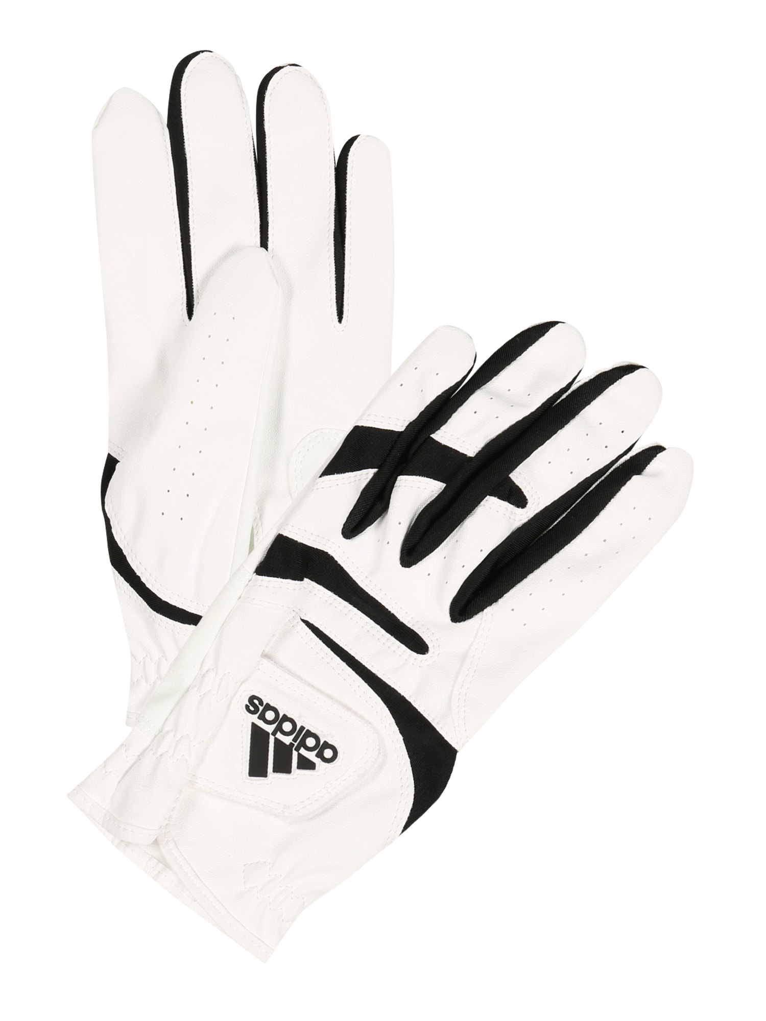 ADIDAS GOLF Športové rukavice 'ADITECH 22'  čierna / biela