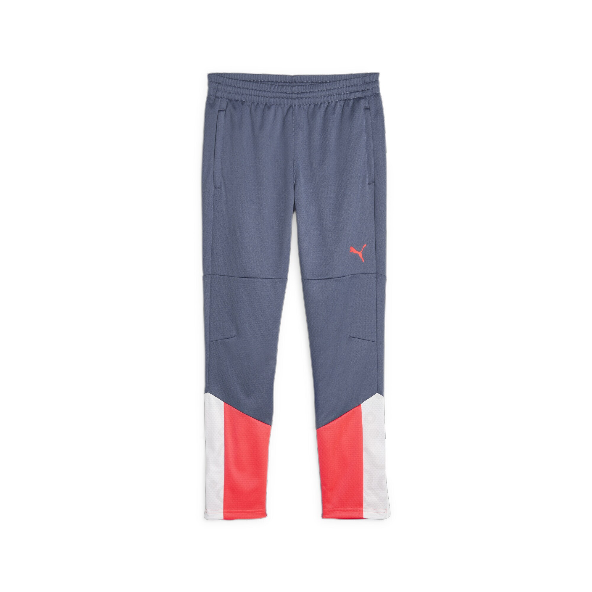 PUMA Pantaloni sport individualCUP  gri / sângeriu / alb