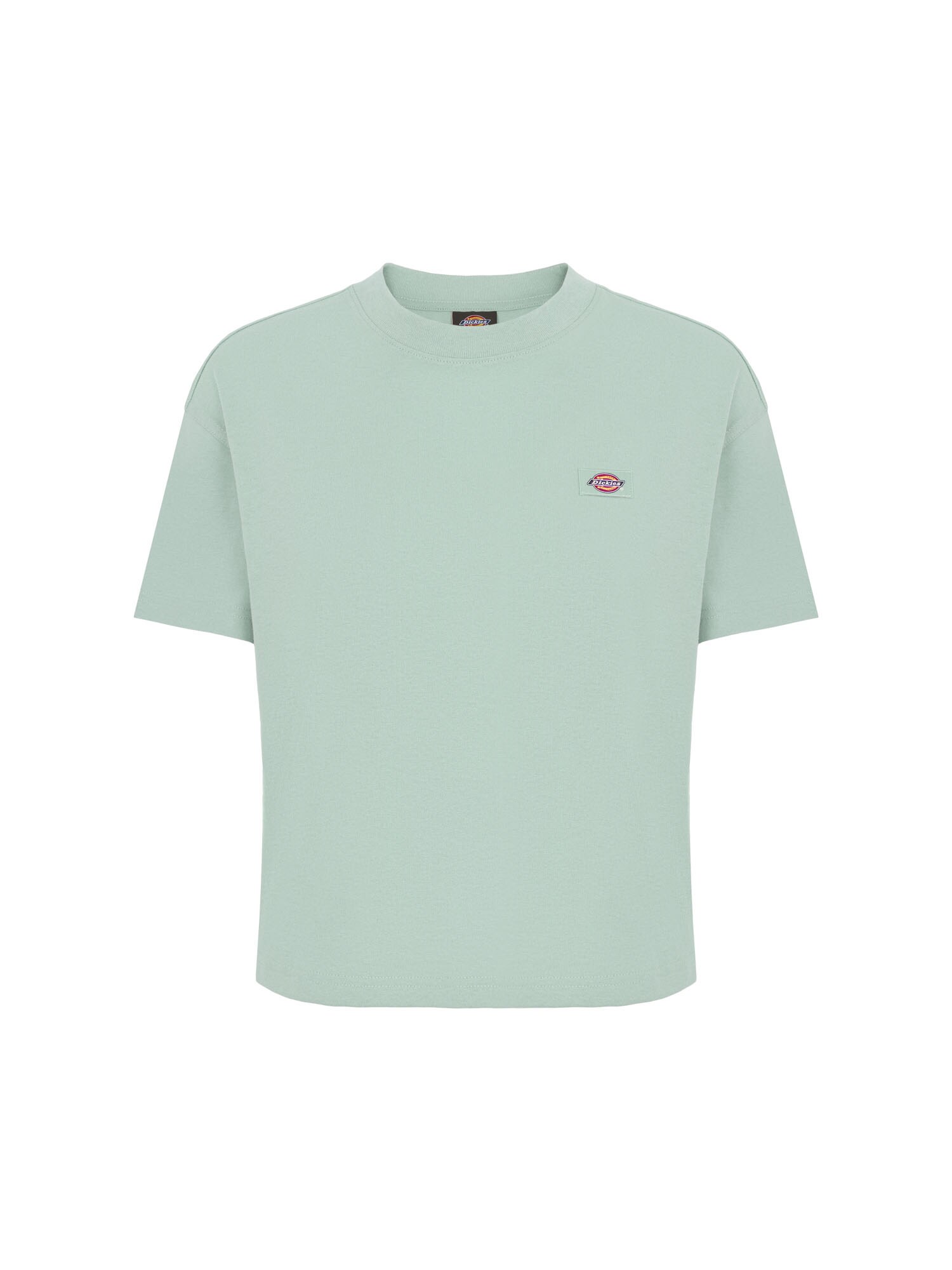 DICKIES Tricou OAKPORT  verde deschis