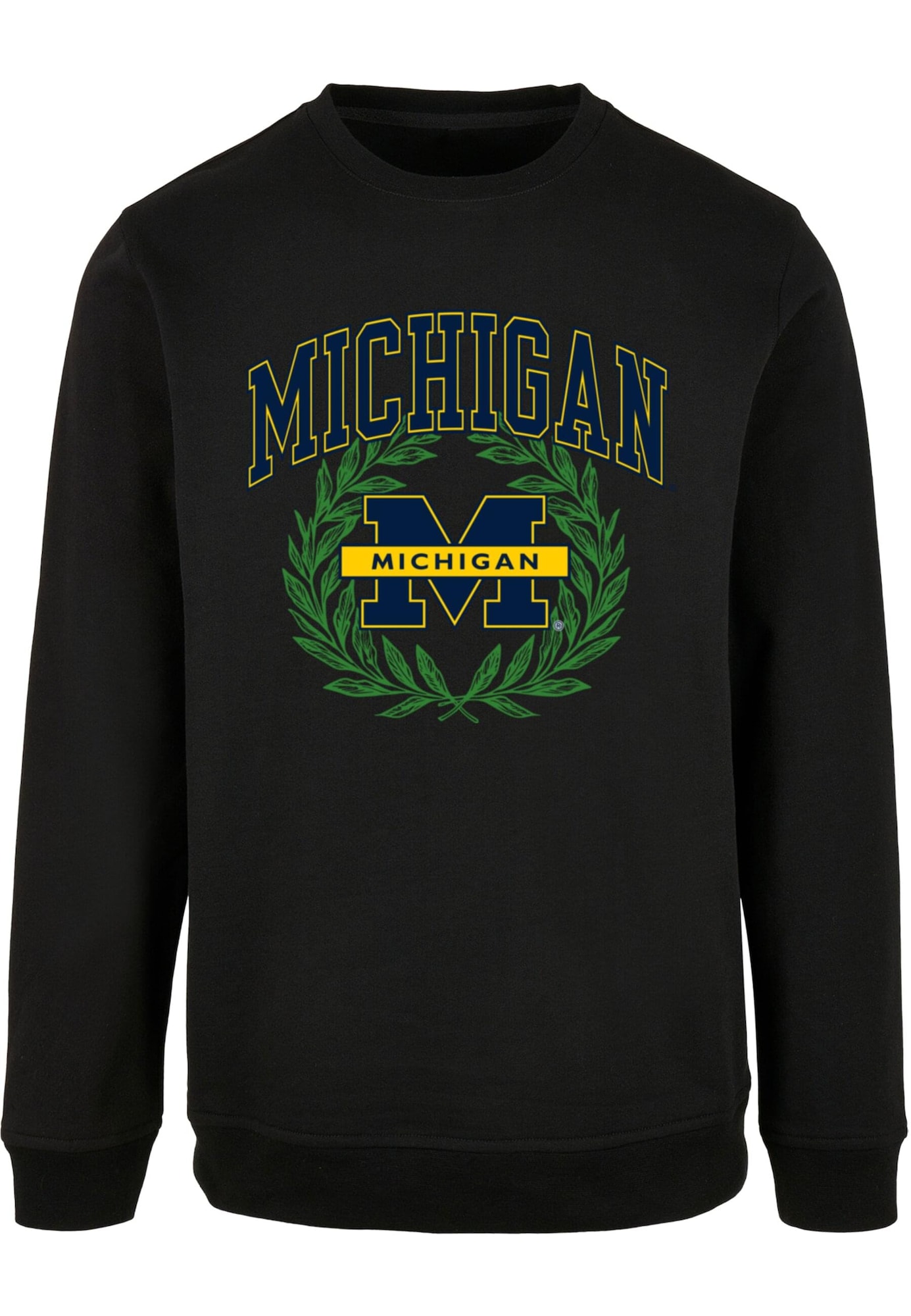 Thumbnail - Sweatshirt 'Michigan University - Michigan'