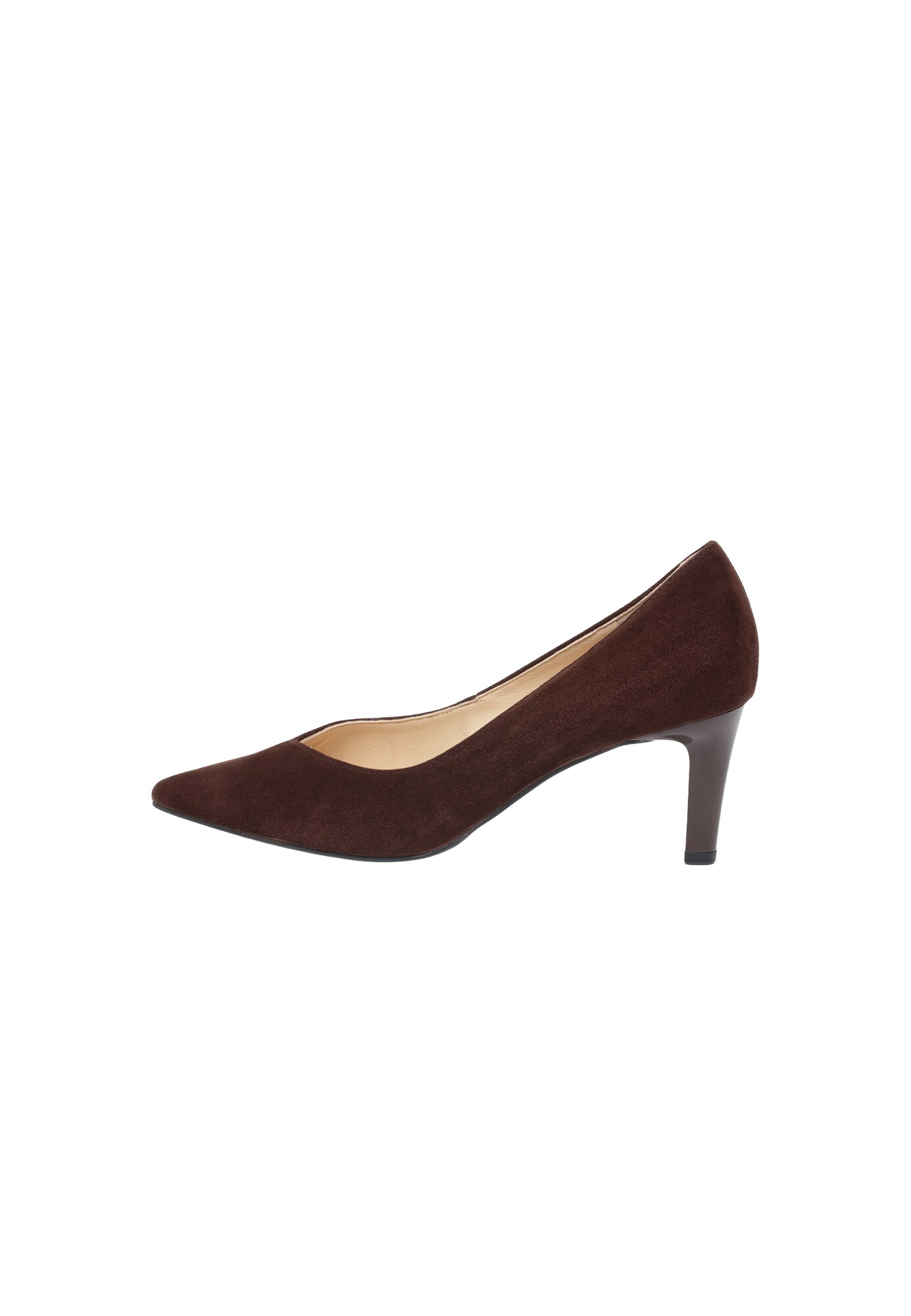 Högl Lodičky 'Boulevard'  cyklaménová