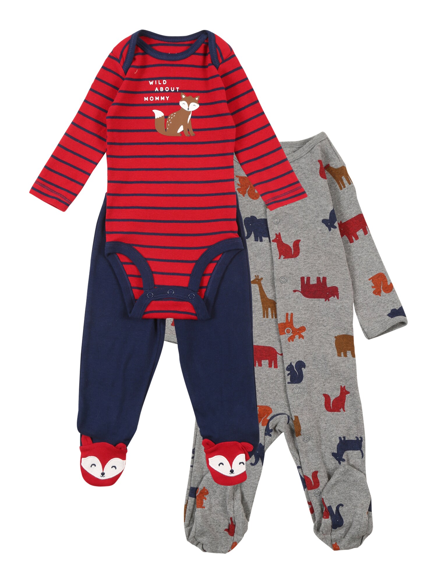 Carter's Rinkinys  mišrios spalvos