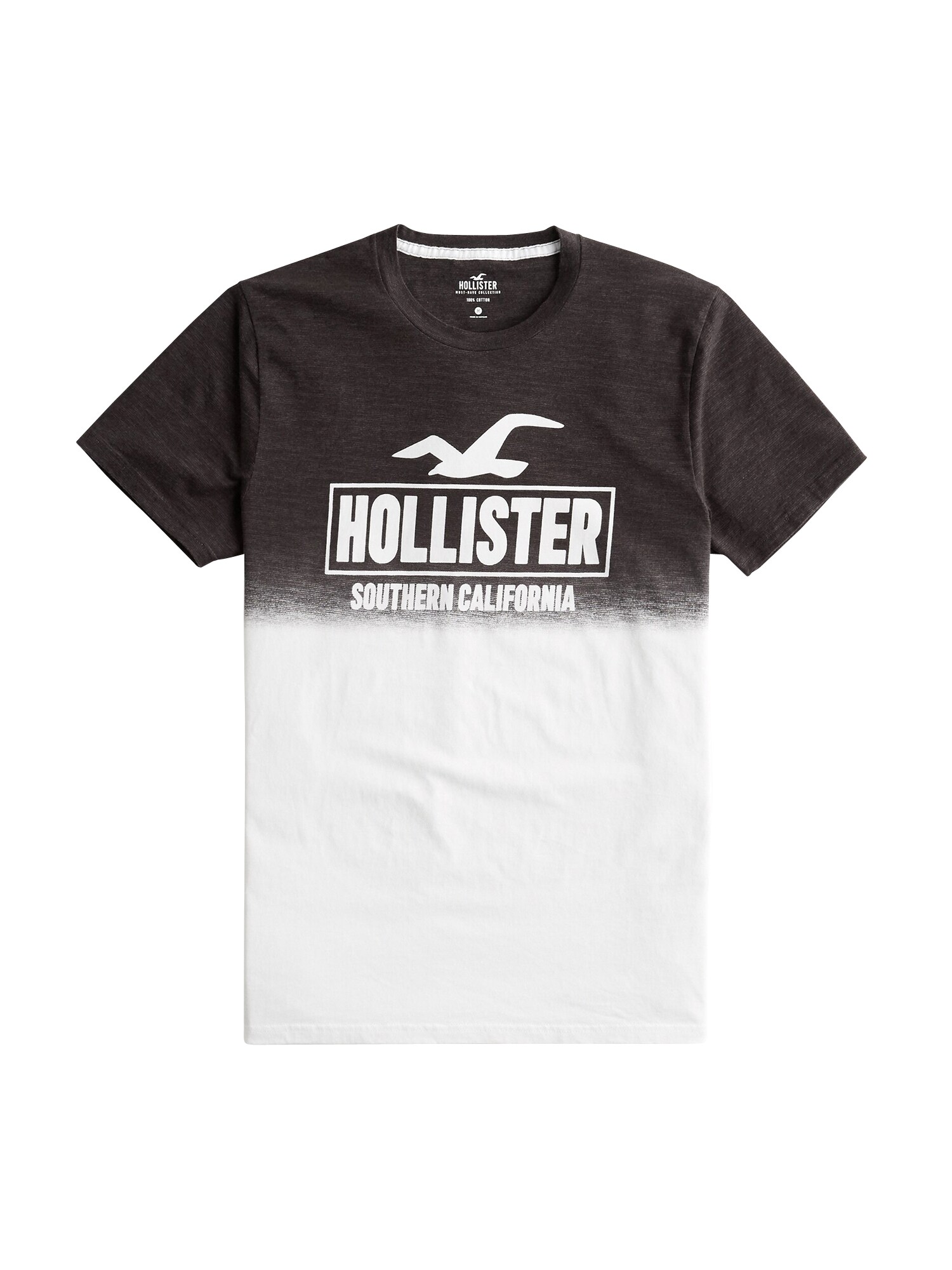 HOLLISTER Marškinėliai  juoda / balkšva