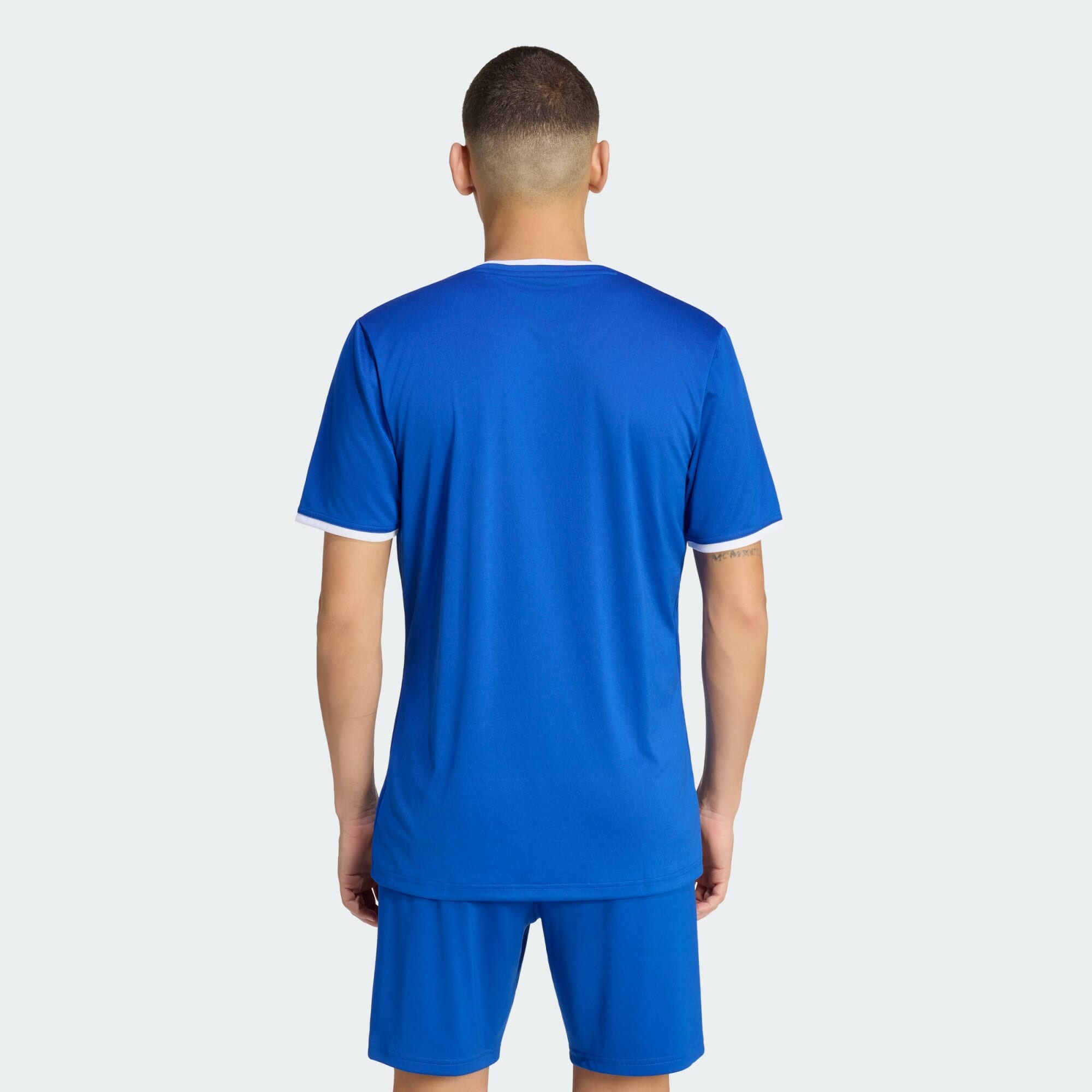ADIDAS PERFORMANCE Camiseta funcional 'Entrada26'  azul real / blanco – imagen 8