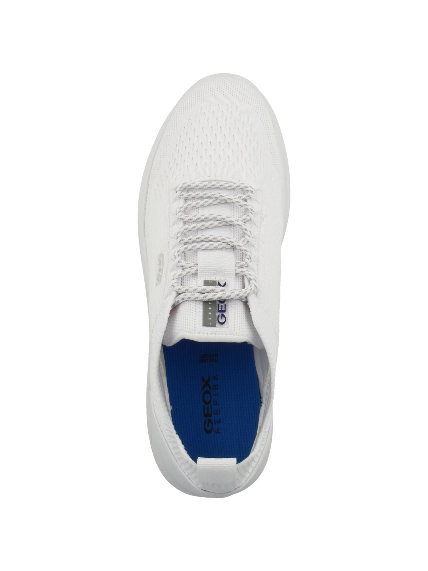 Thumbnail - Sneaker 'Spherica'