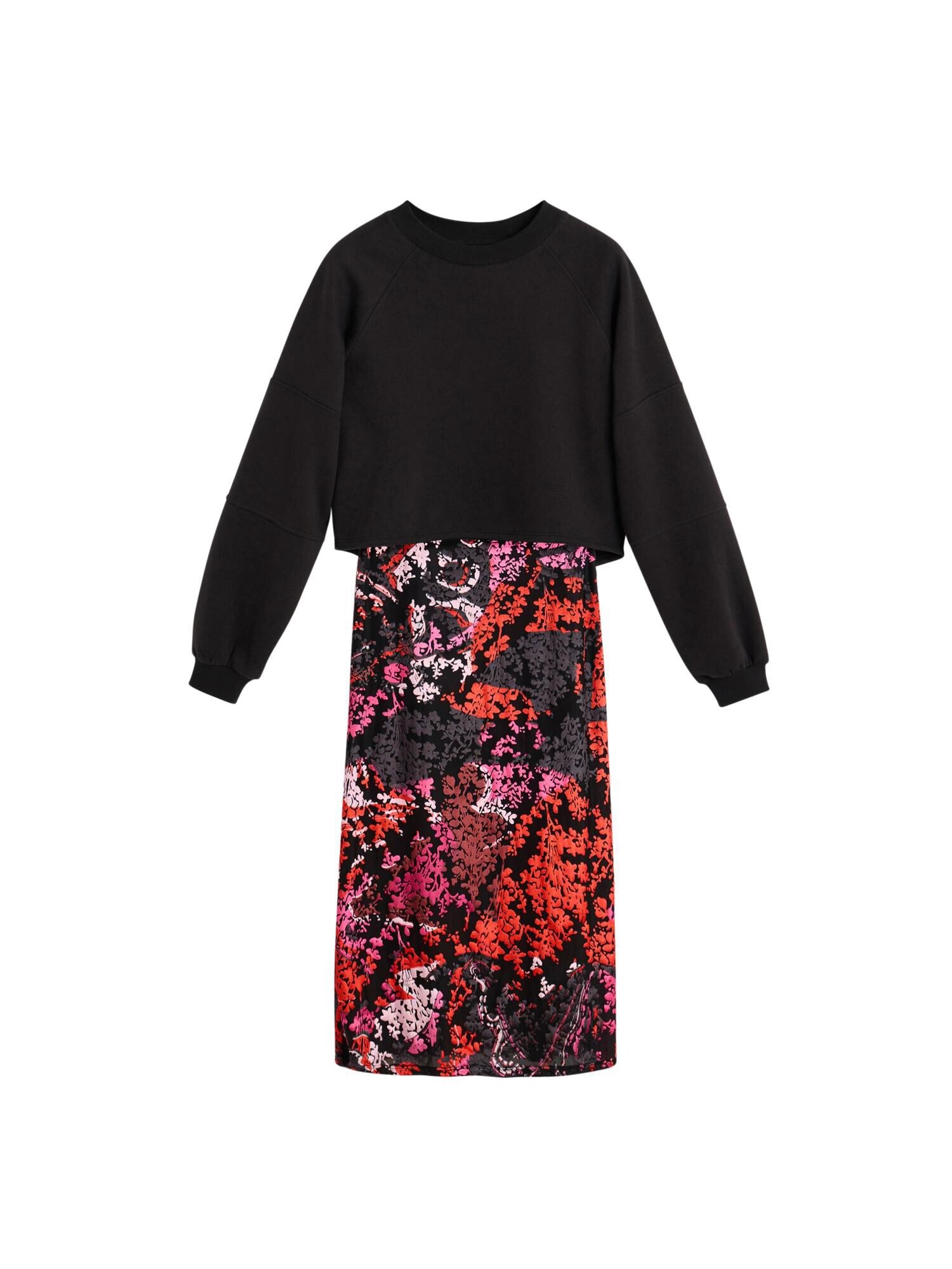 Desigual Rochie  roșu / negru