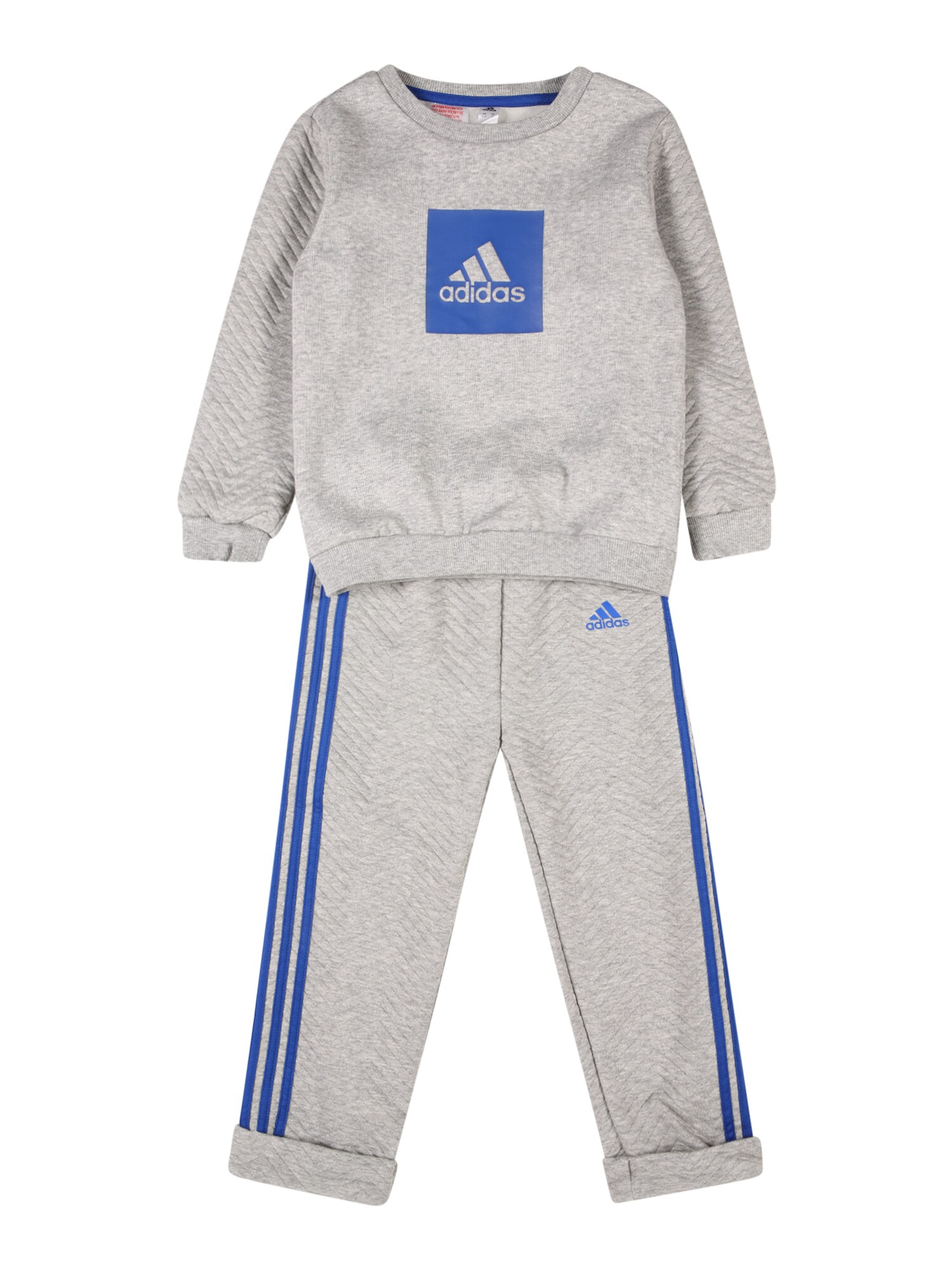ADIDAS PERFORMANCE Treniruočių kostiumas  margai pilka / mėlyna