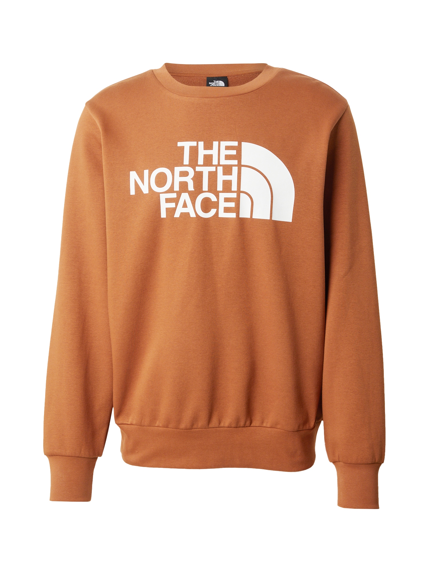 THE NORTH FACE Tréning póló 'EASY'  konyak / fehér akciós termékkép 1