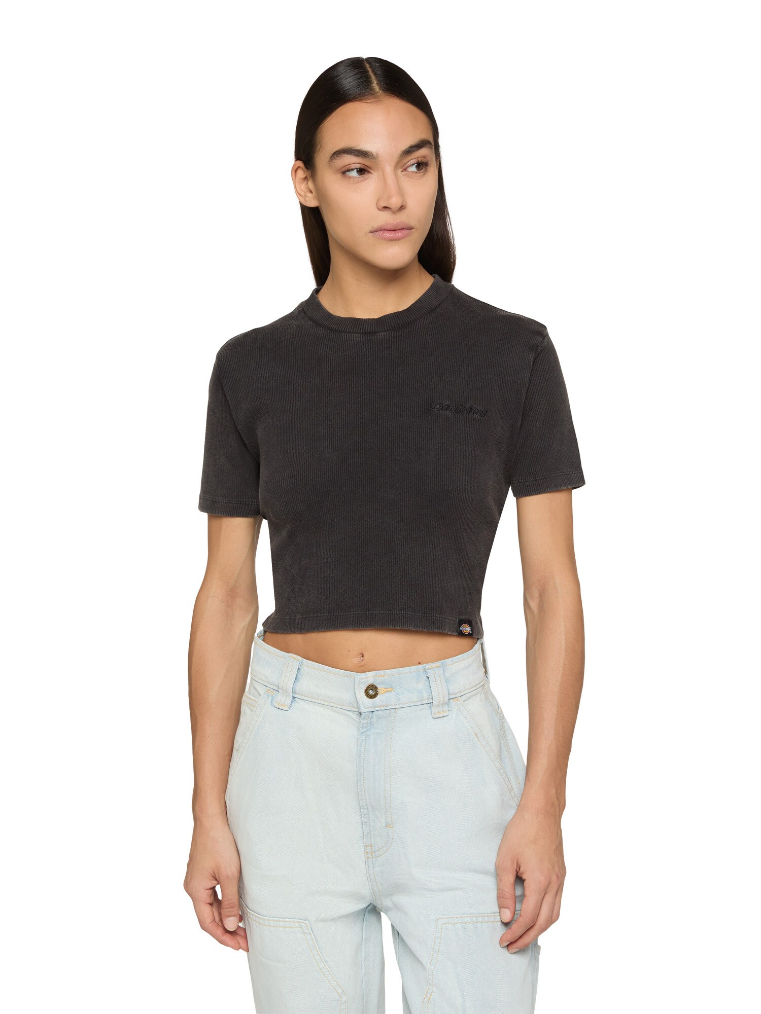 Thumbnail - DICKIES T-Shirt Plentywood