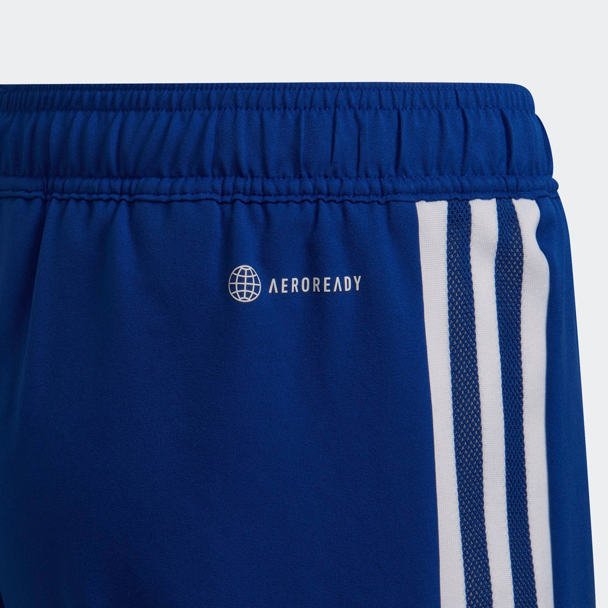 Thumbnail - Sportshorts 'Condivo 22'
