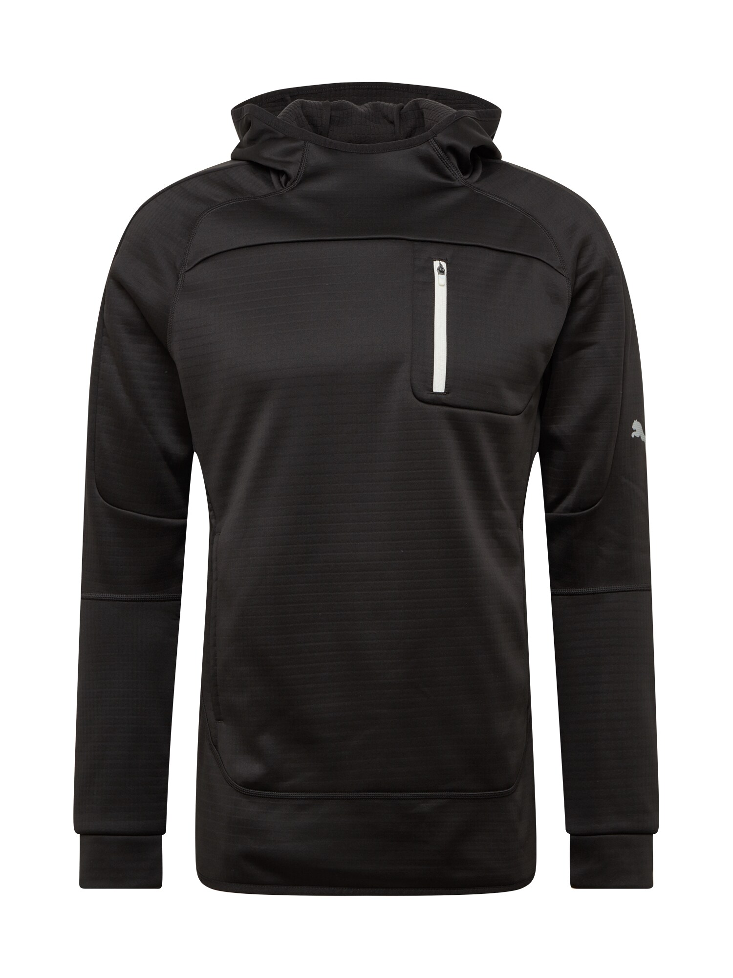 PUMA Sportinio tipo megztinis 'EVOSTRIPE'  juoda