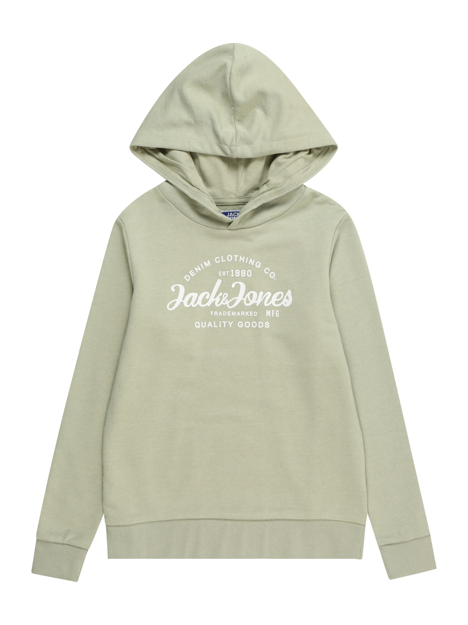 Jack & Jones Junior Mikina 'JJForest'  pastelovo zelená / biela