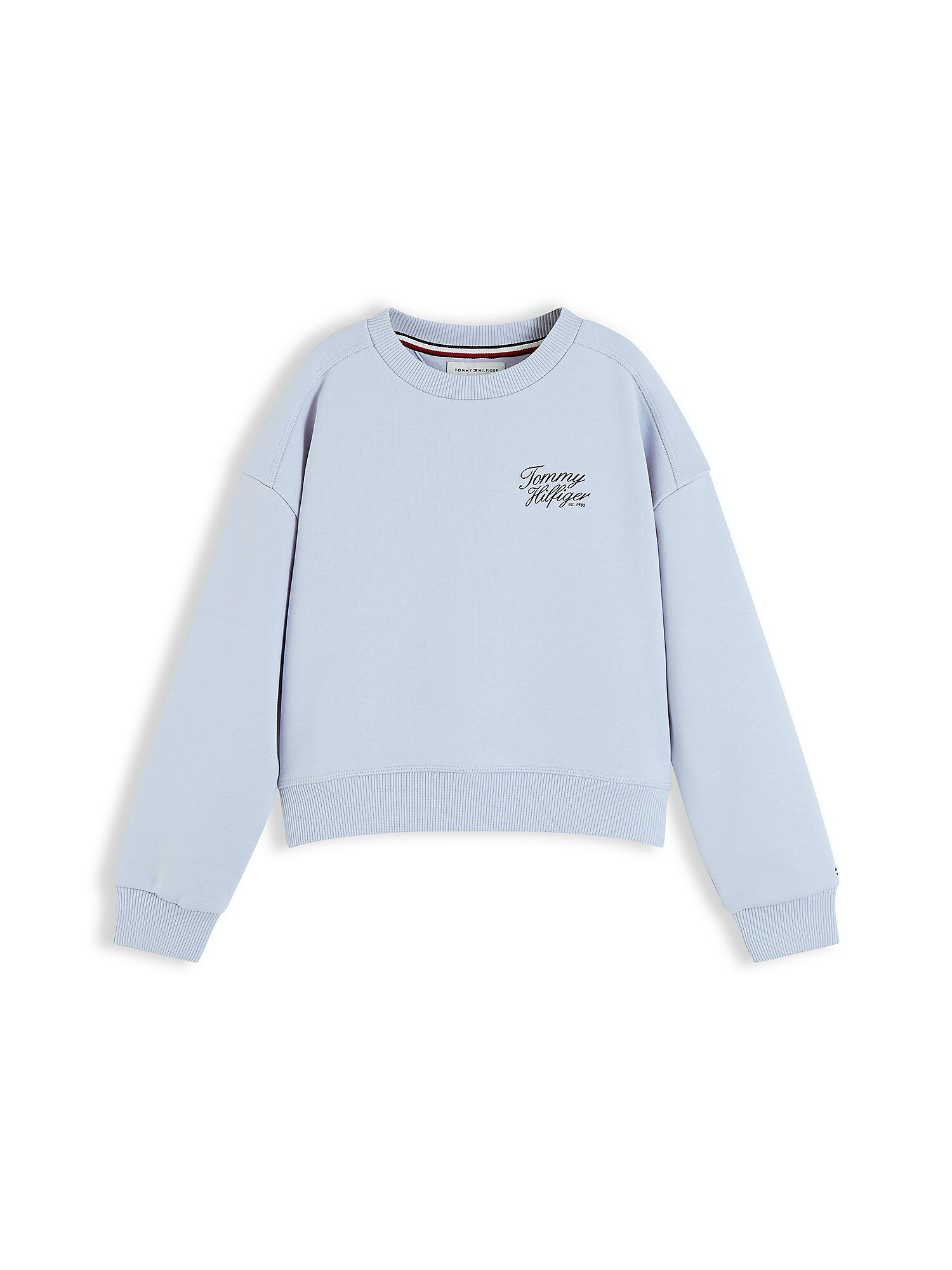 TOMMY HILFIGER Mikina  nebesky modrá / čierna