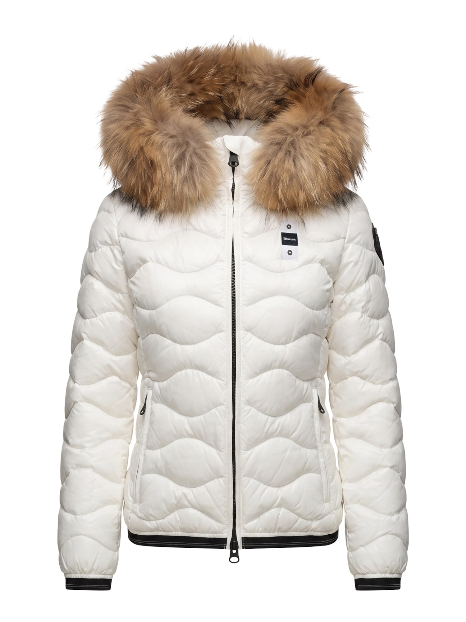 Vinterjacka 'ALDIE 26WBLDC03034'