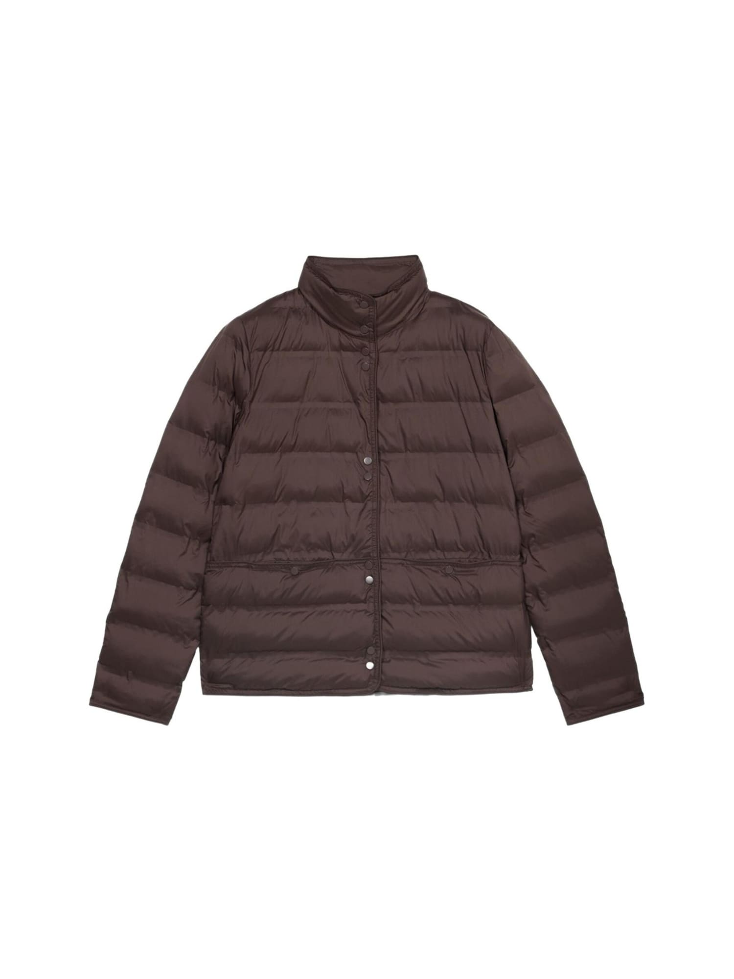 oltre Chaqueta de invierno  marrón