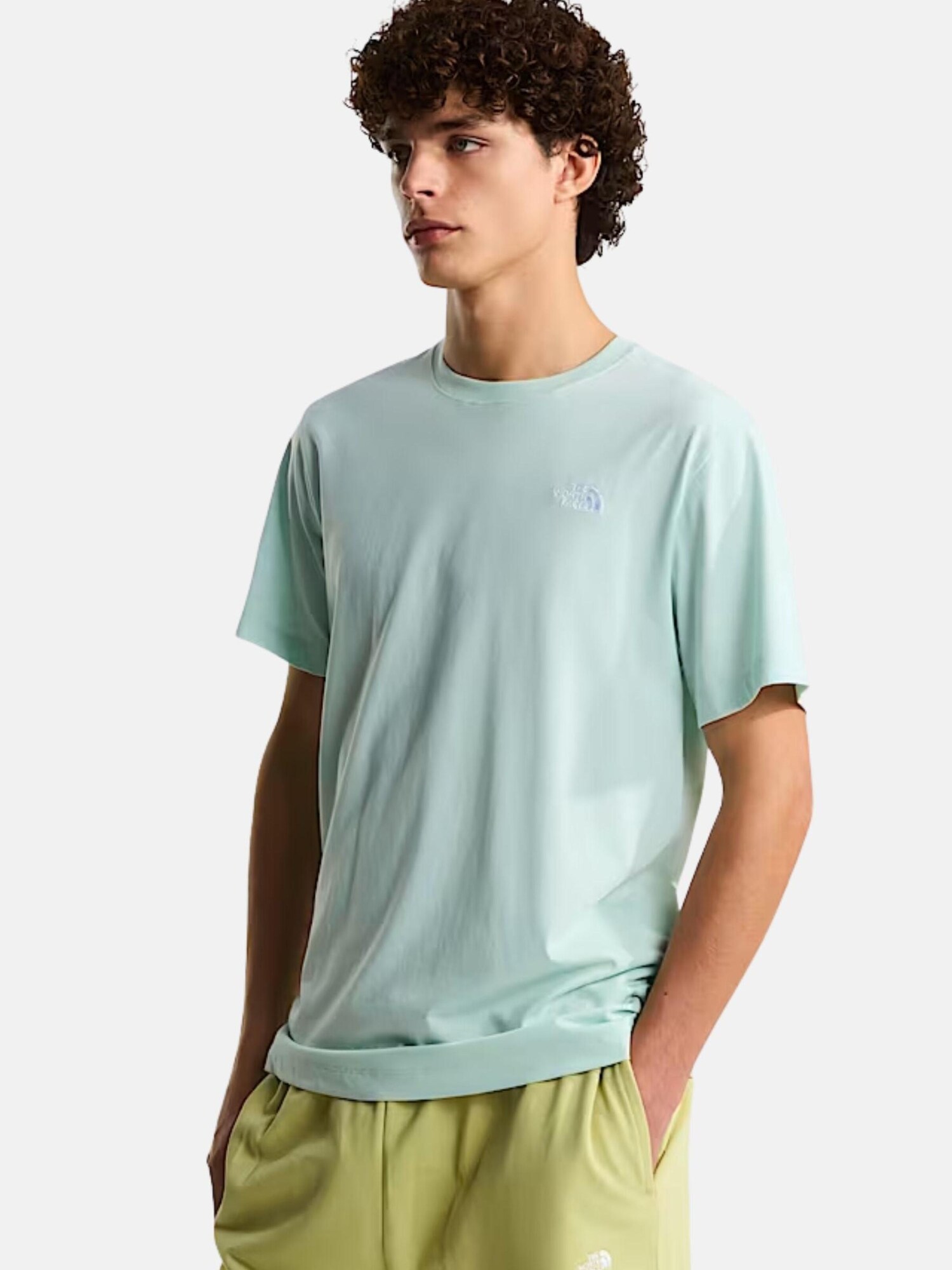 THE NORTH FACE Tričko 'Evolution Simple Dome'  mätová (obrázok 5)