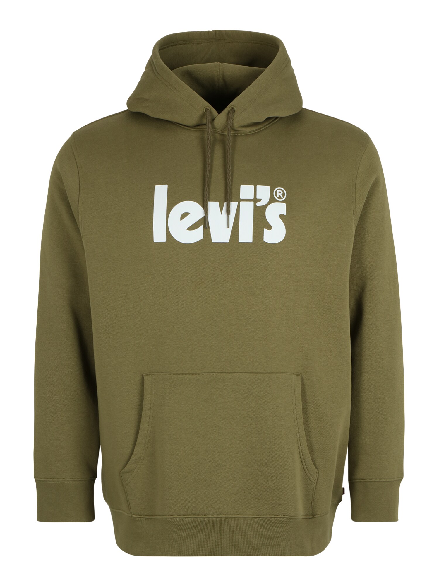 Levi's® Big & Tall Megztinis be užsegimo 'BIG GRAPHIC HOODIE GREENS' rusvai žalia / balta