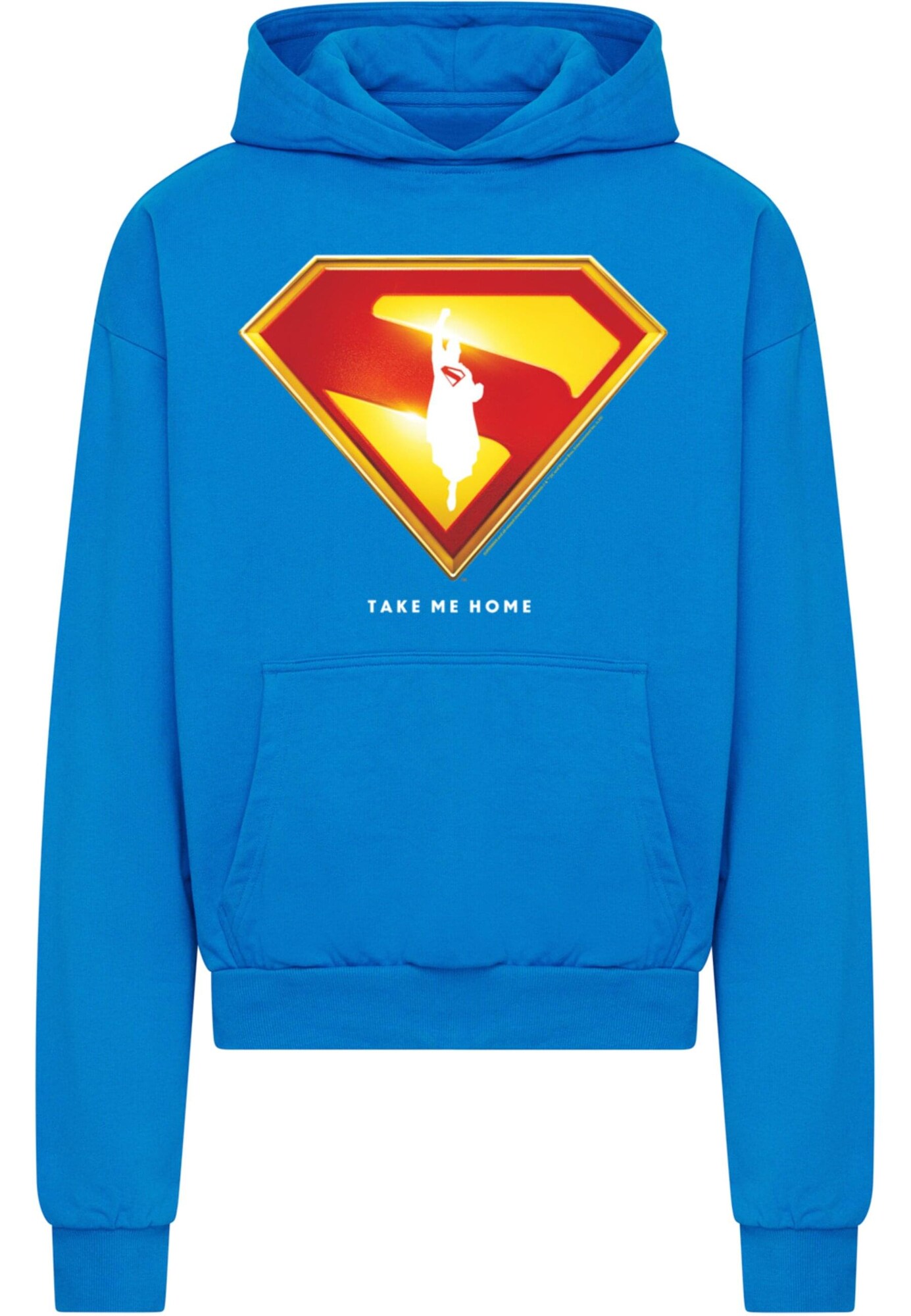 Thumbnail - ABSOLUTE CULT Superman Logo Take Me Home Ultra Heavy Hoody