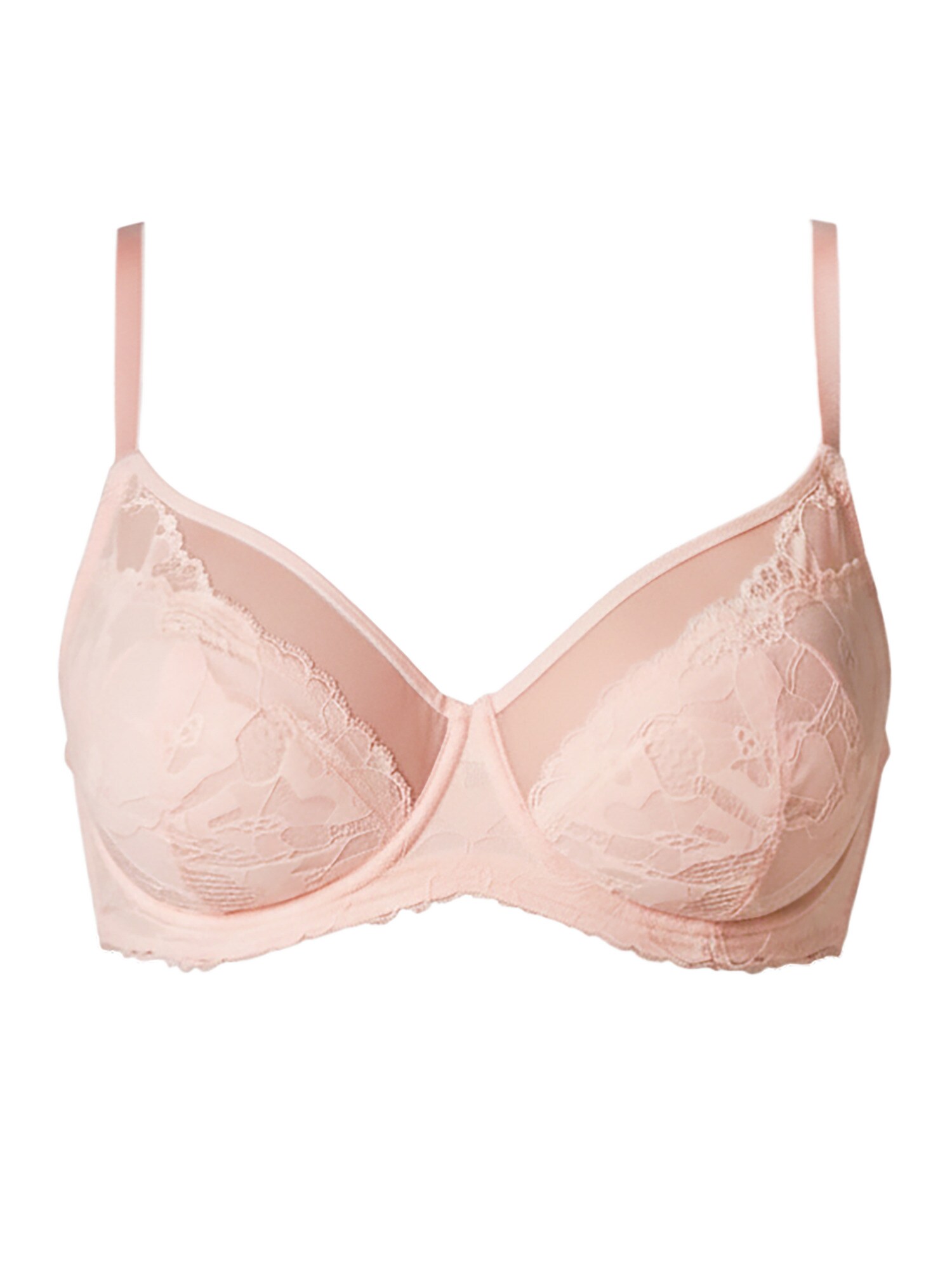 SugarShape Sutien Gracy  roz