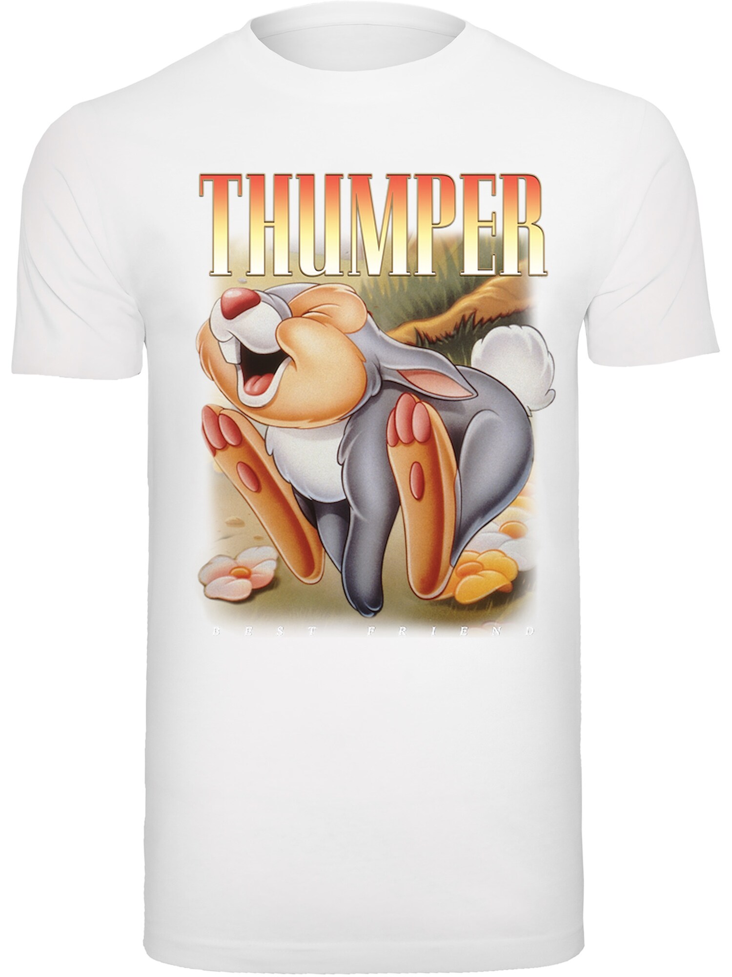 Thumbnail - F4NT4STIC Shirt Thumper Montage