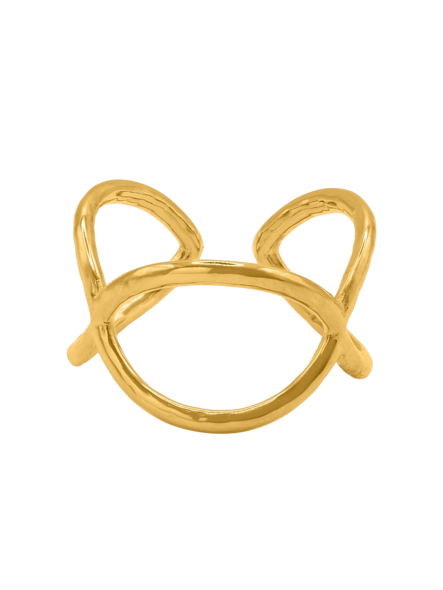 Thumbnail - Heideman Ring Nerva