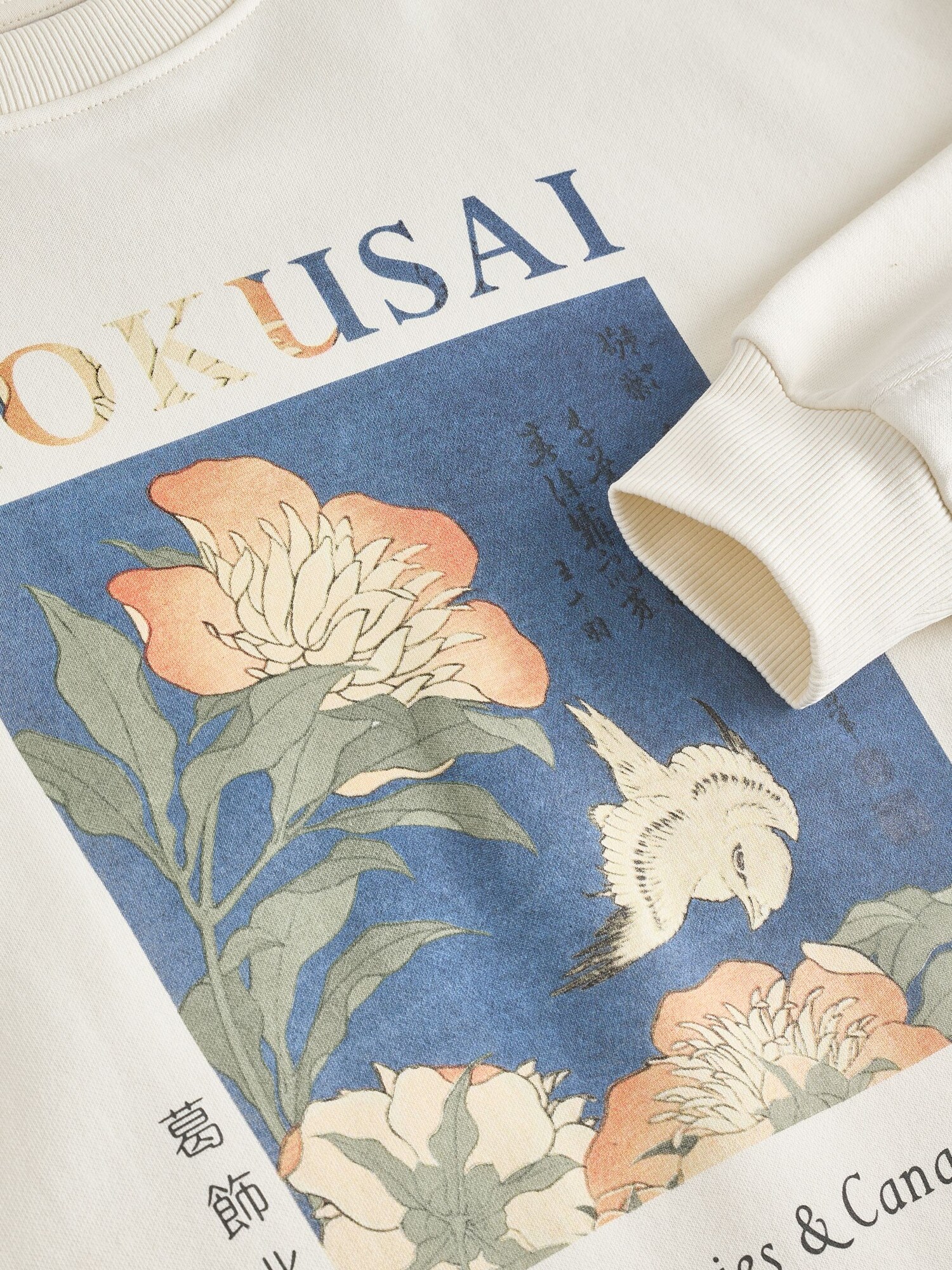 Thumbnail - Next Sweatshirt Hokusai