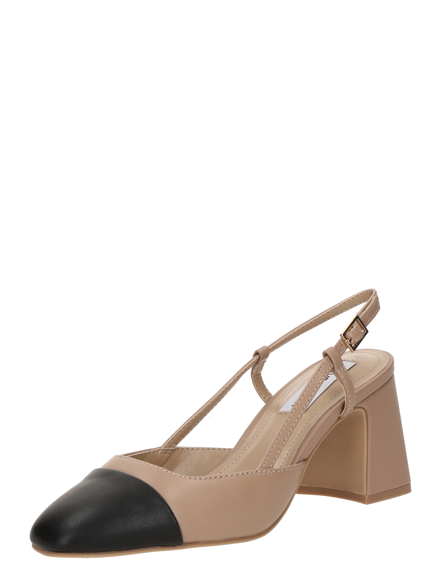 STEVE MADDEN Pumps Zeina  culoarea pielii / negru