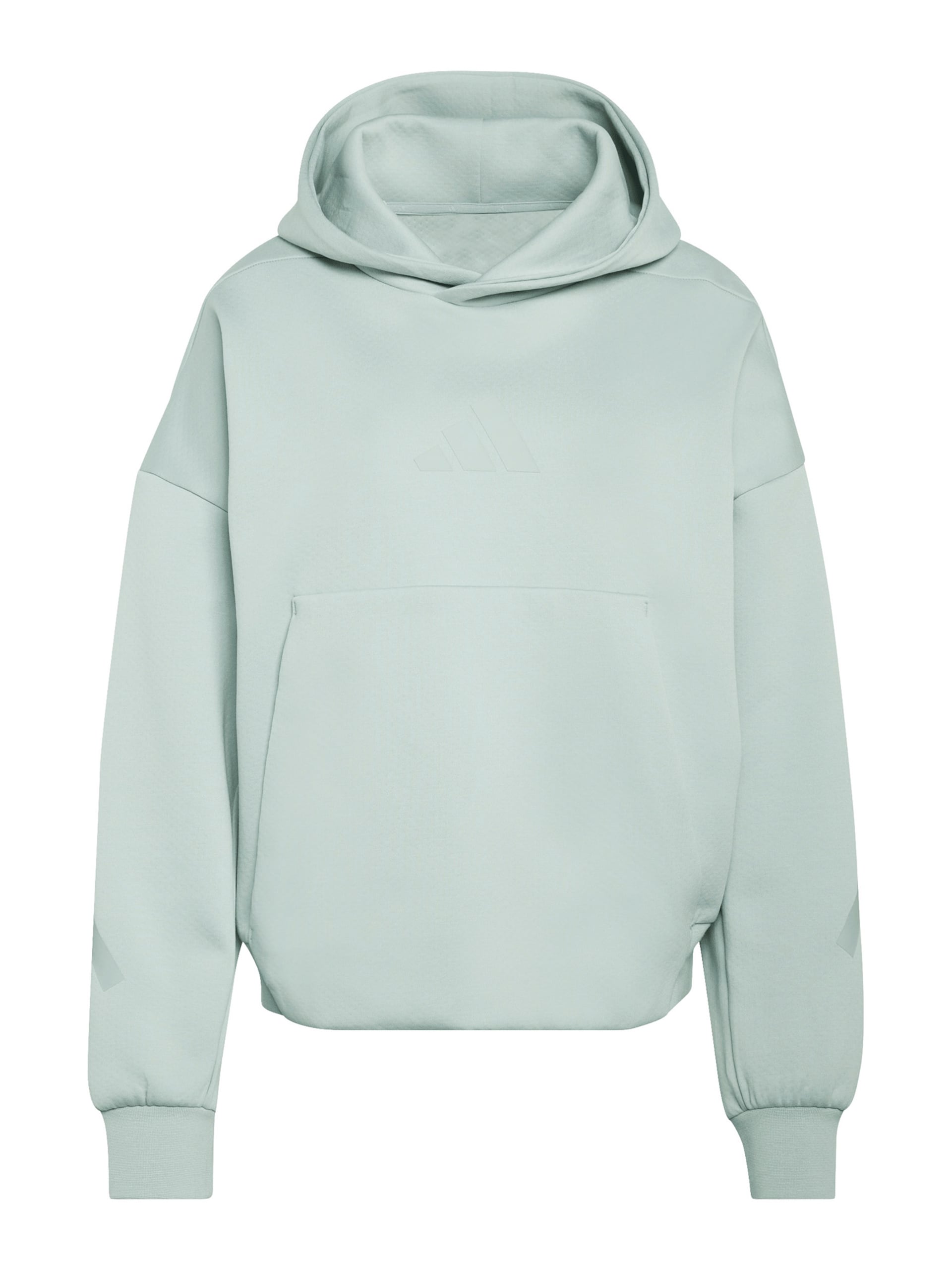 Sport sweatshirt 'Z.N.E. HOODED'