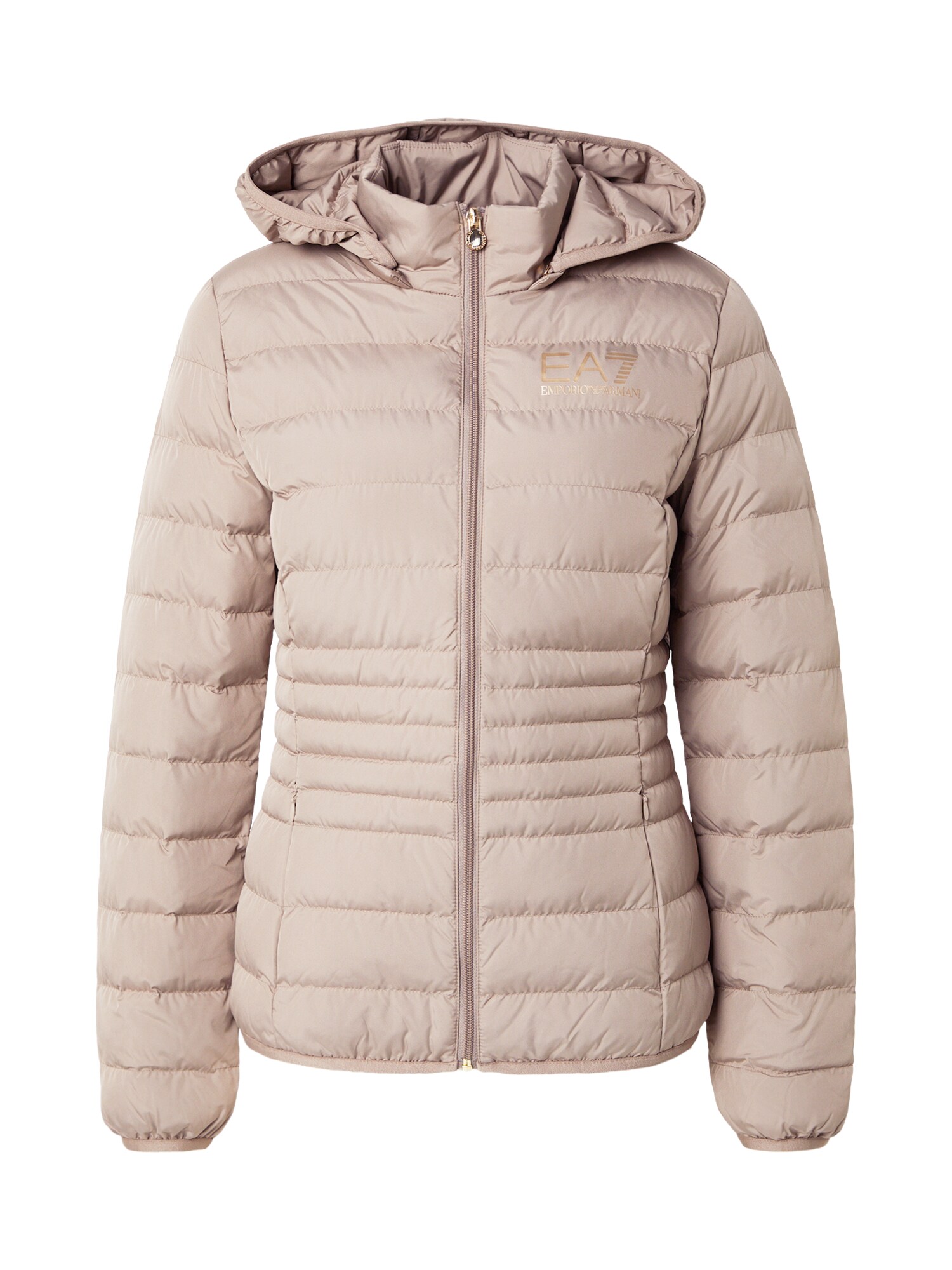 EA7 Emporio Armani Zimná bunda  tmavošedá