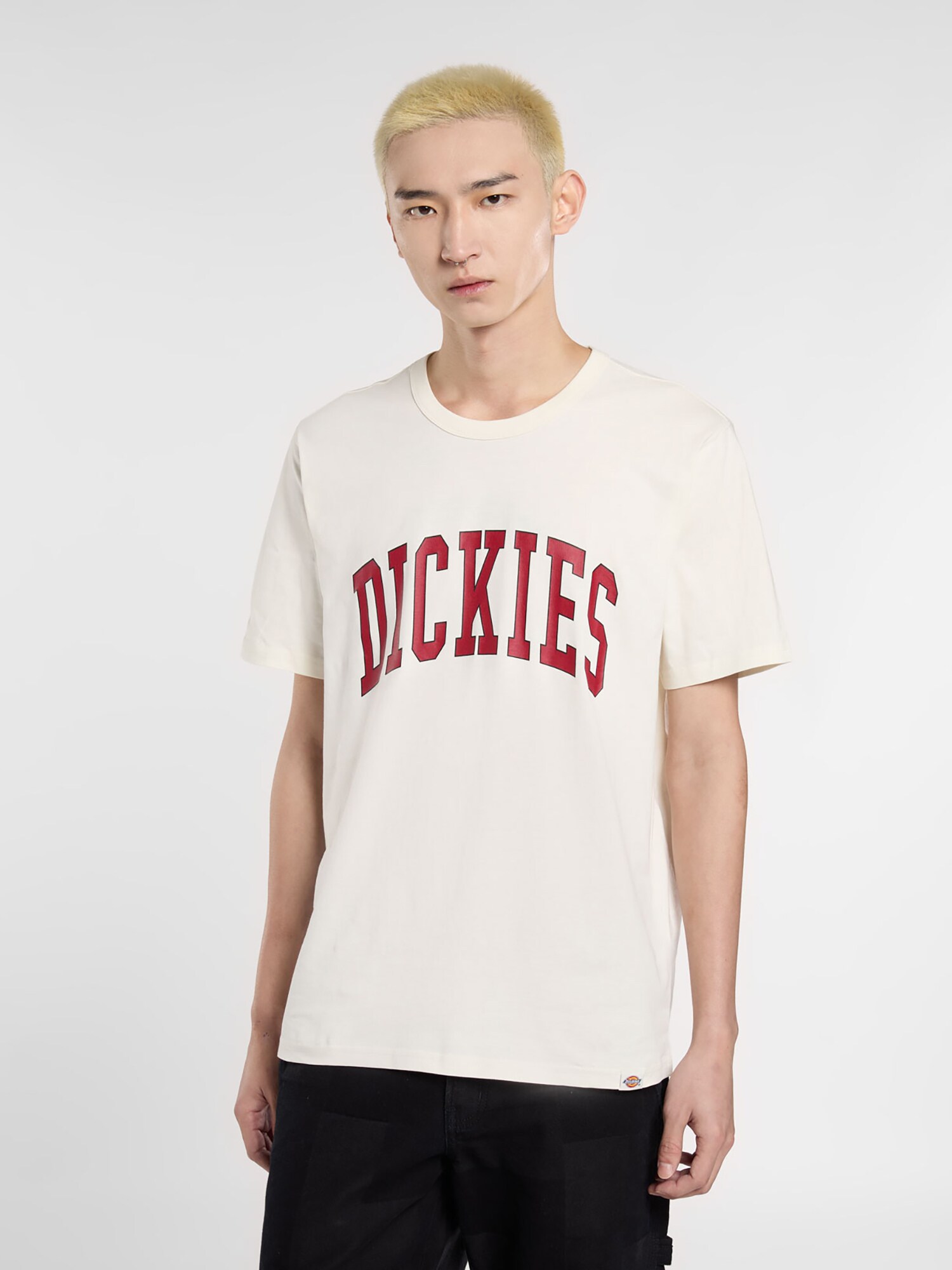 Thumbnail - DICKIES T-Shirt Aitkin