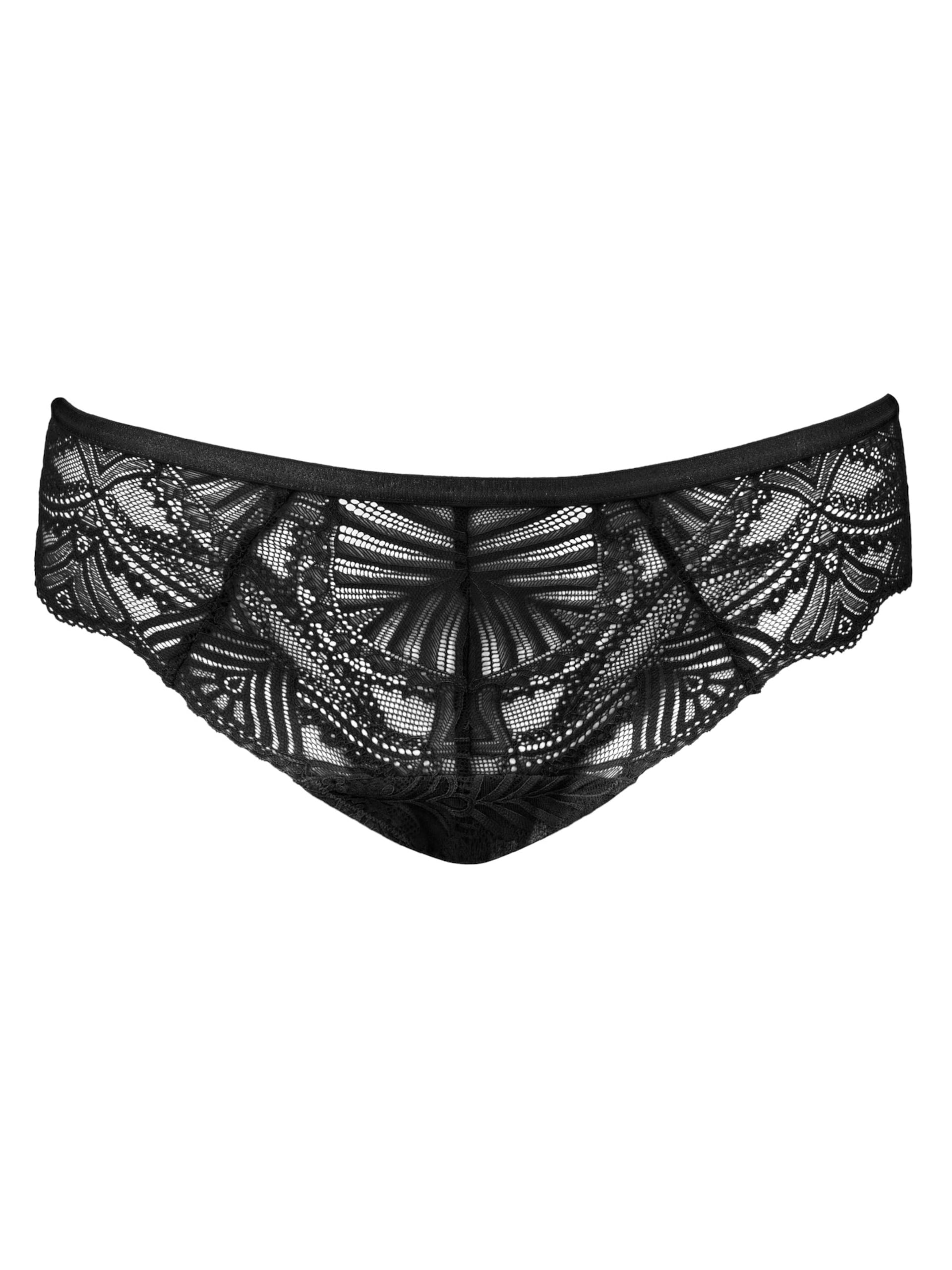 SugarShape String 'Sensla Luxe' dam