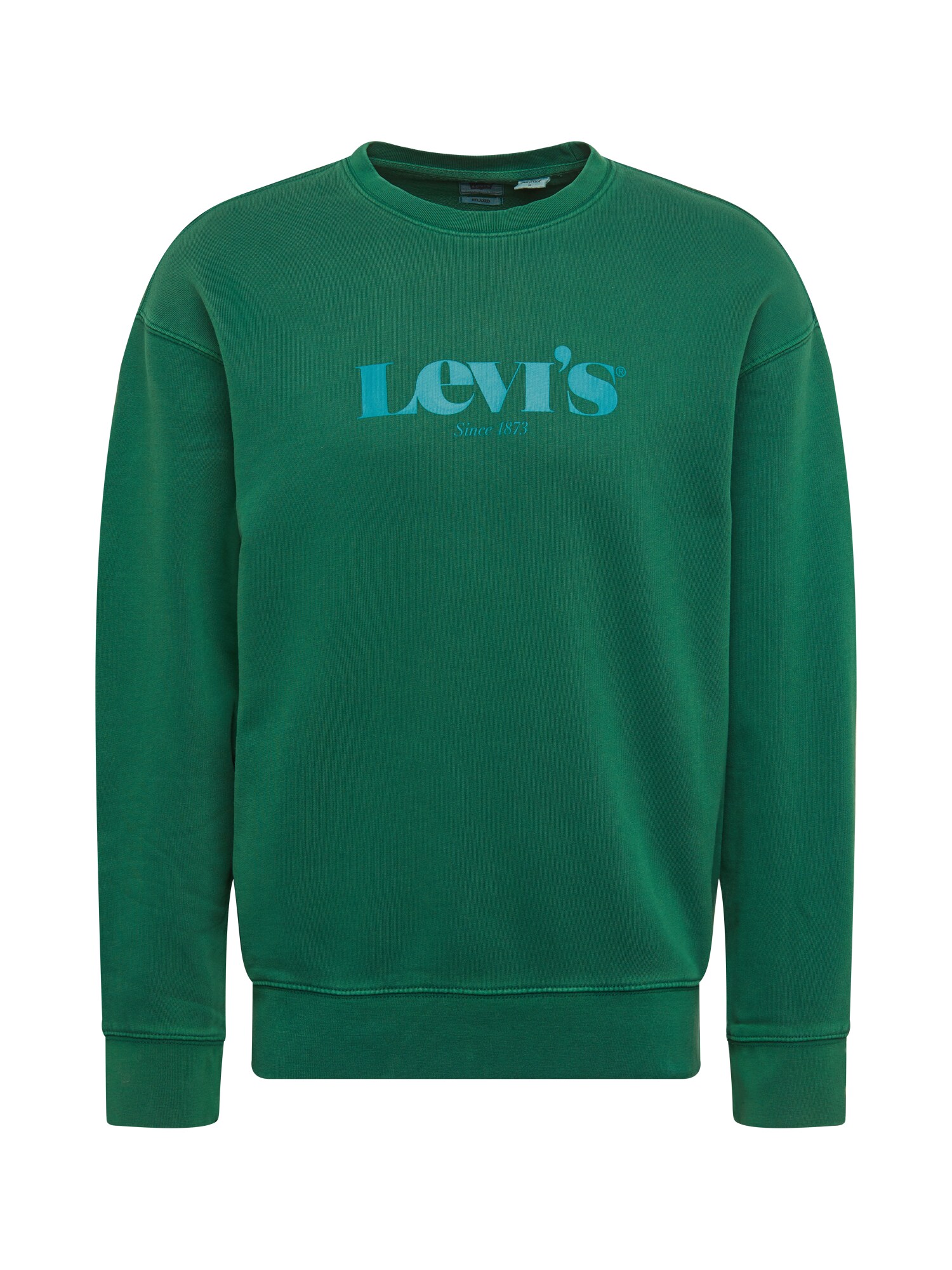 LEVI'S Megztinis be užsegimo ' RELAXED T2 GRAPHIC CREW'  žolės žalia / nefrito spalva