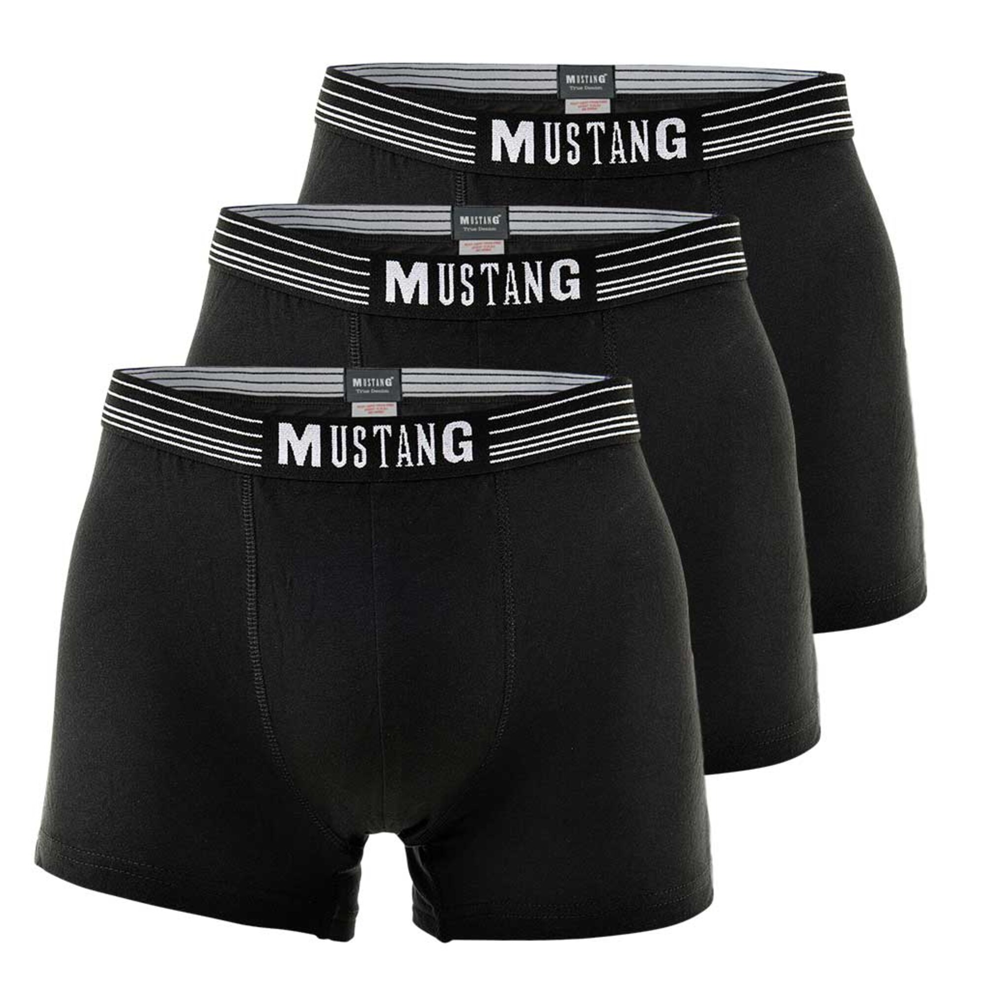 Thumbnail - MUSTANG Trunks