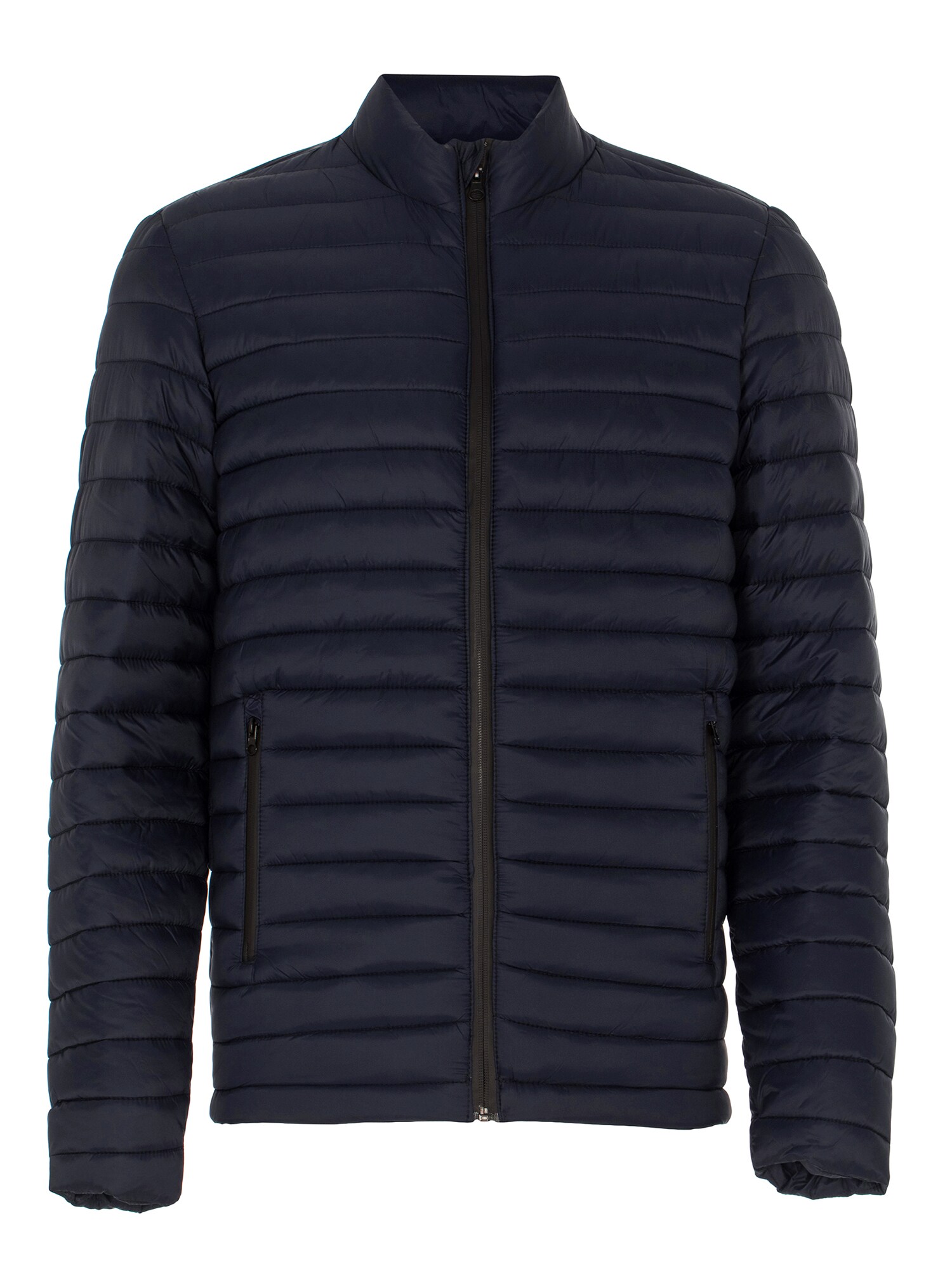 Daniel Hills Geacă de primăvară-toamnă  bleumarin