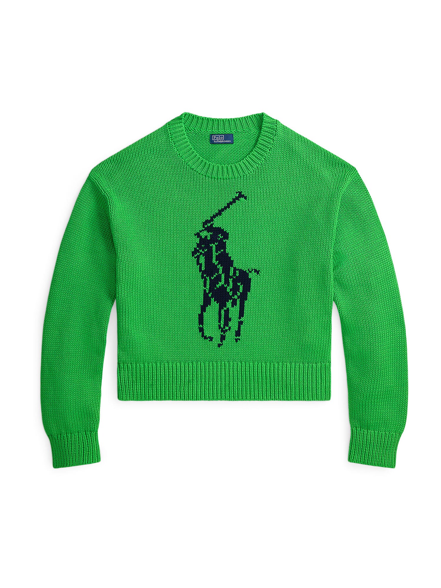 Polo Ralph Lauren Pulover  bleumarin / verde
