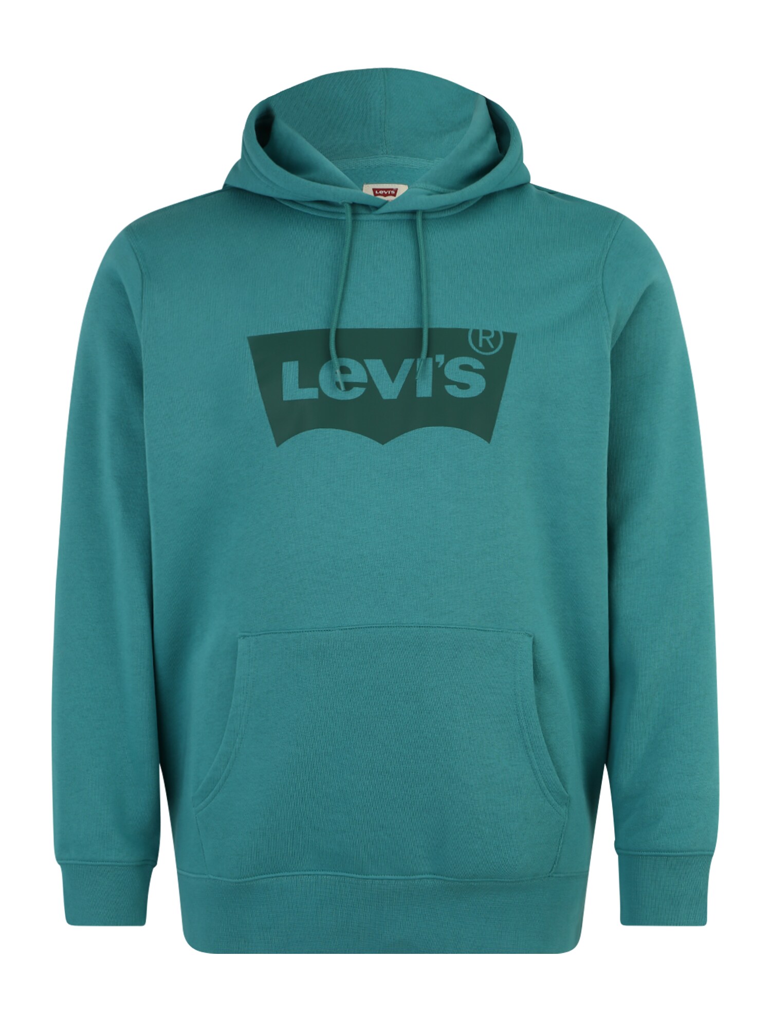 Levi's® Big & Tall Megztinis be užsegimo žalia / tamsiai žalia