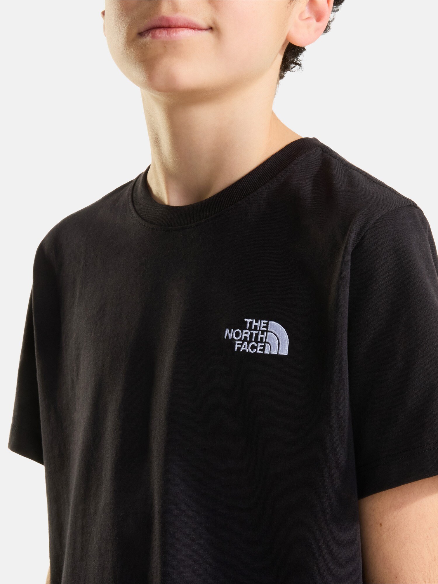 THE NORTH FACE Tričko 'Evolution'  čierna / biela (obrázok 6)